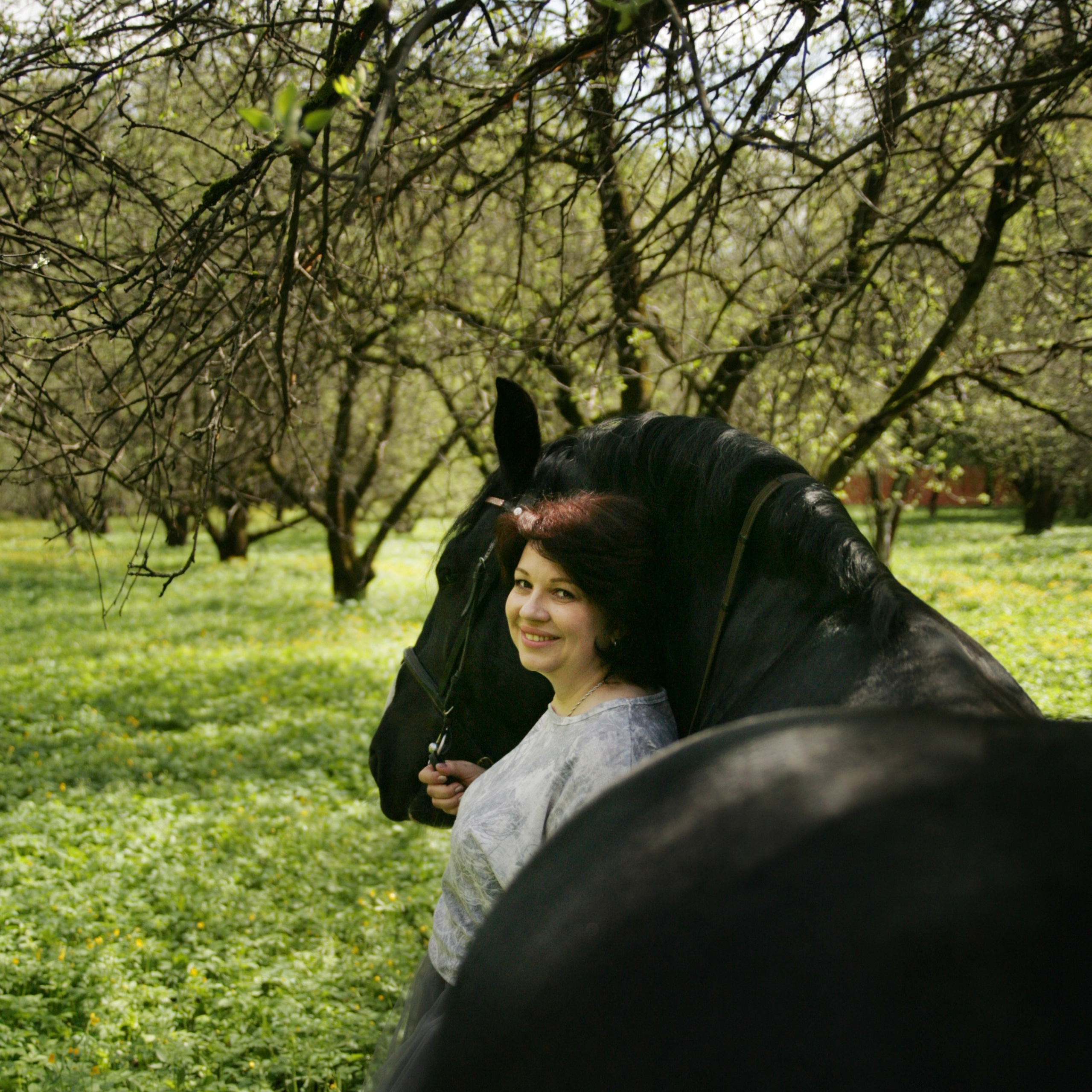 Фотограф с лошадьми в Москве