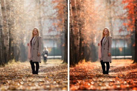 Онлайн курс. Фотошкола Кемерово