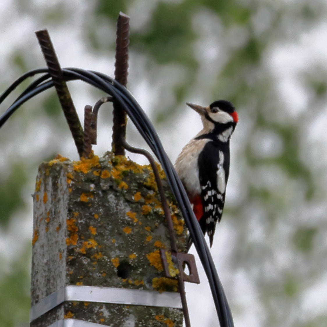 Большой уикенд. Пятница