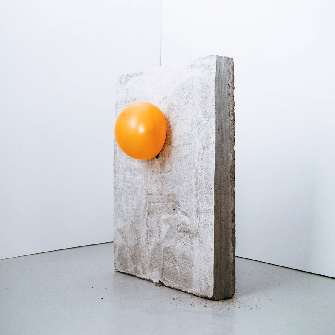 Каталог. Daria Morozova