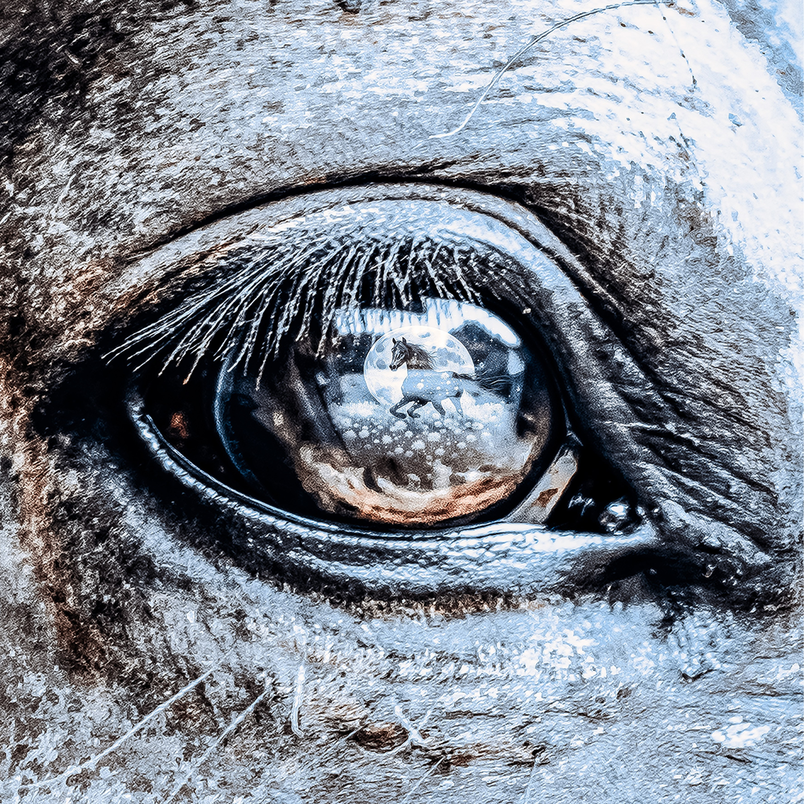 Арт. Фотограф в Москве Ира Бейнар