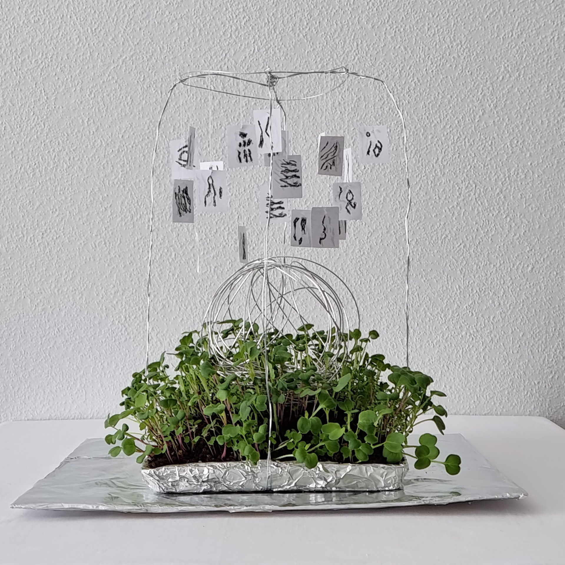 Выставка Рабочий рай 30.09 — 30.12.2024