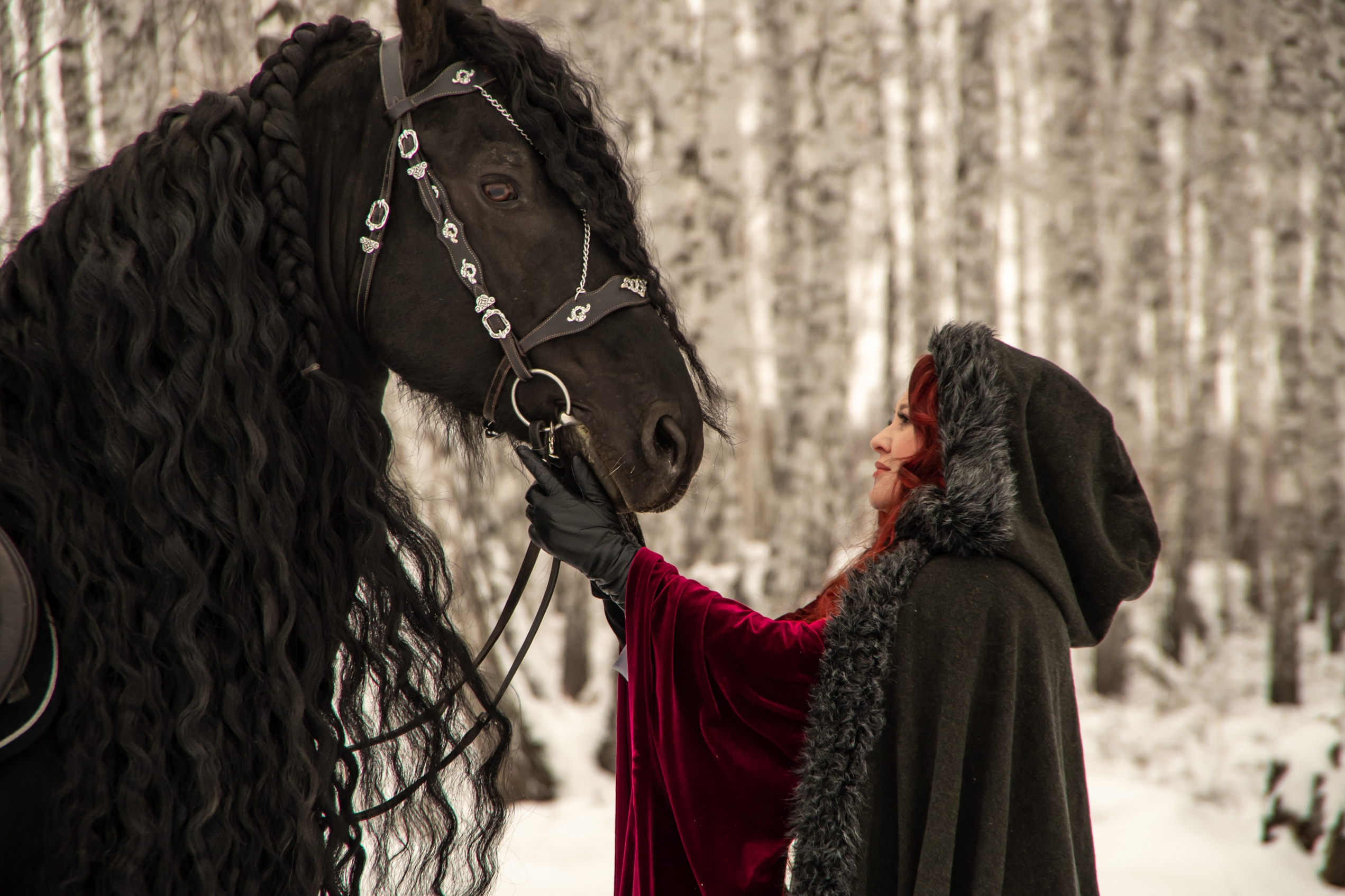 Услуги и цены. Фотограф Марина Доглядная Челябинск фотосессии с лошадьми, мотоциклами