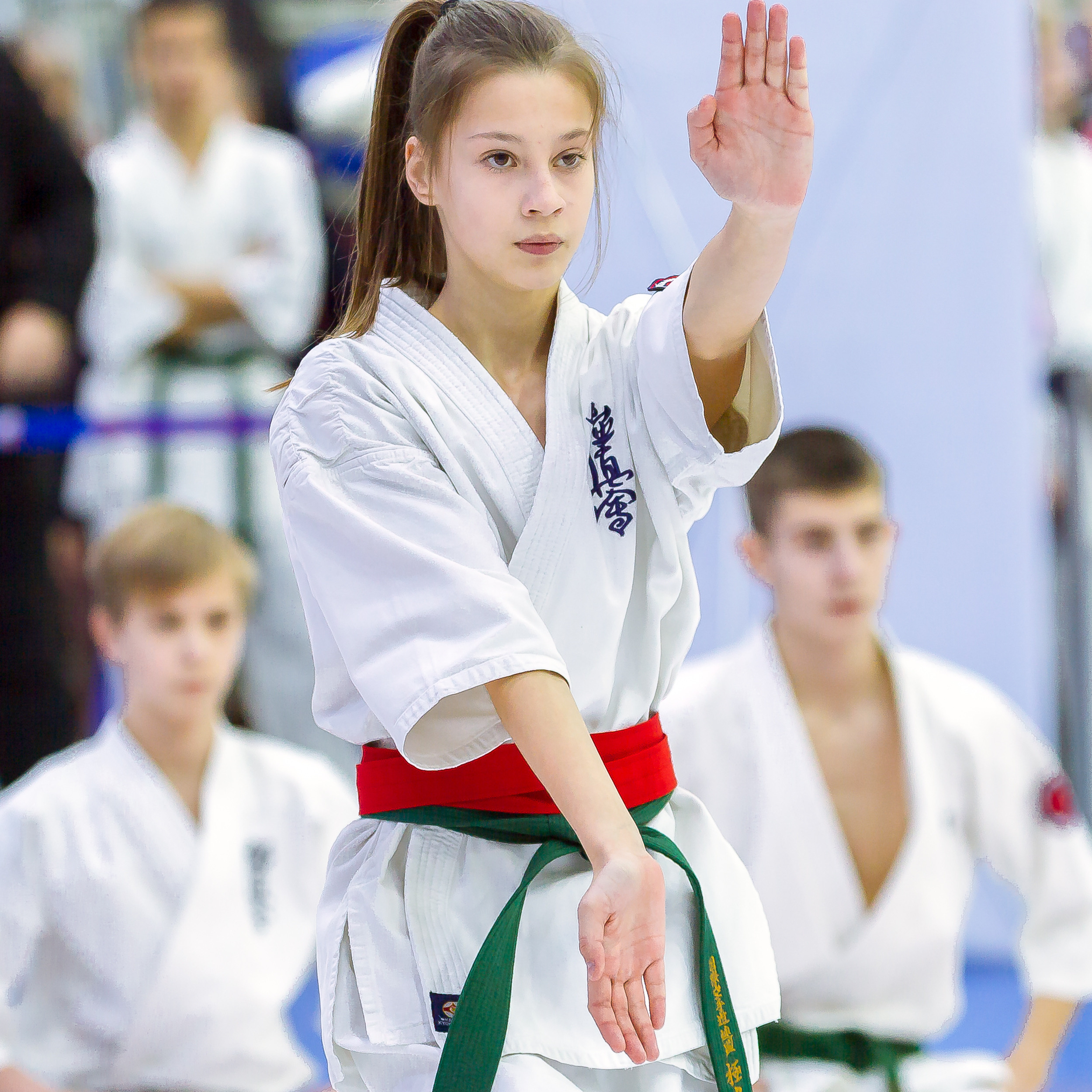 Услуги. Репортажная съемка в Москве и области. Анималистика