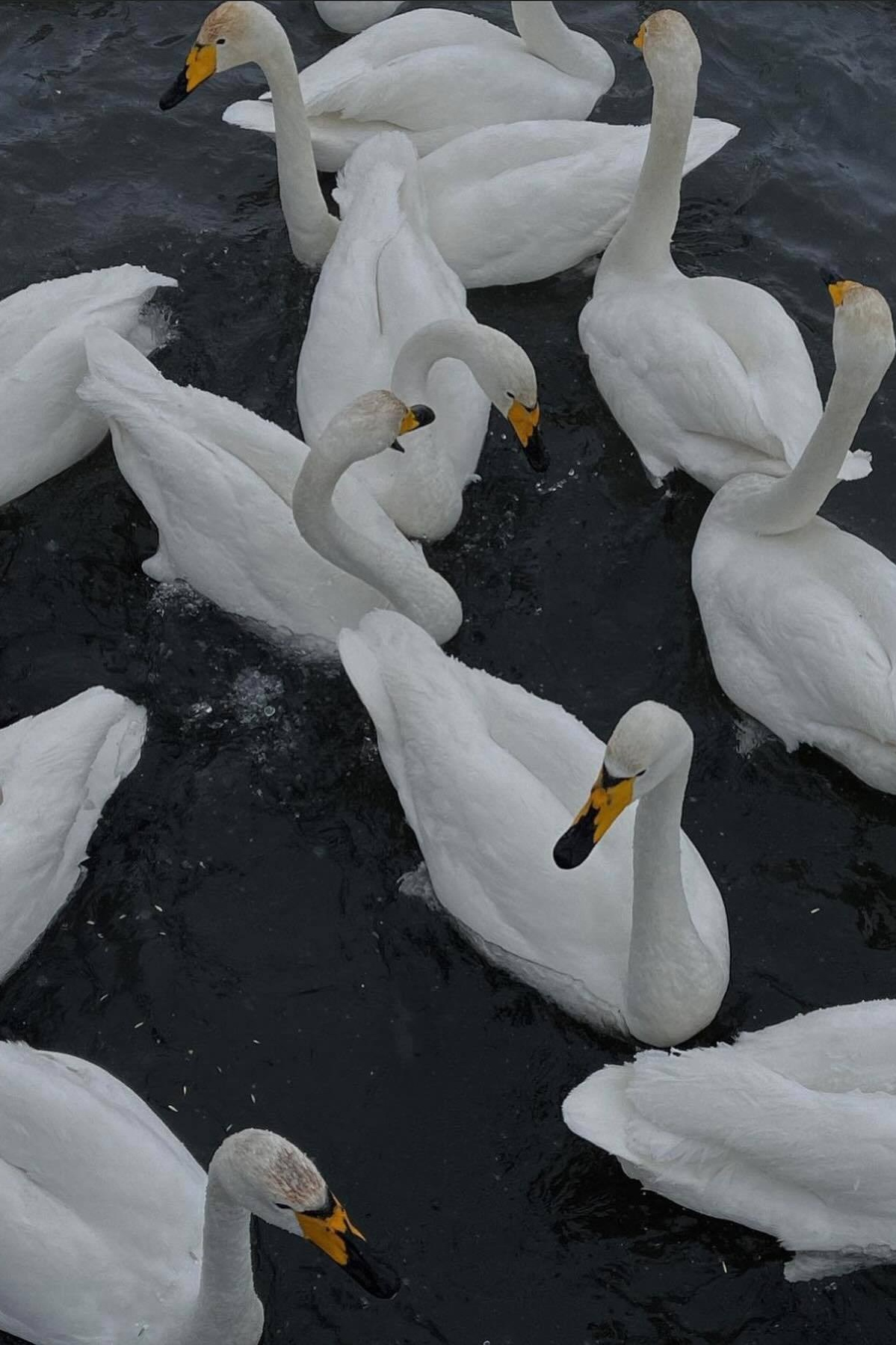 Когда ехать на Алтай?