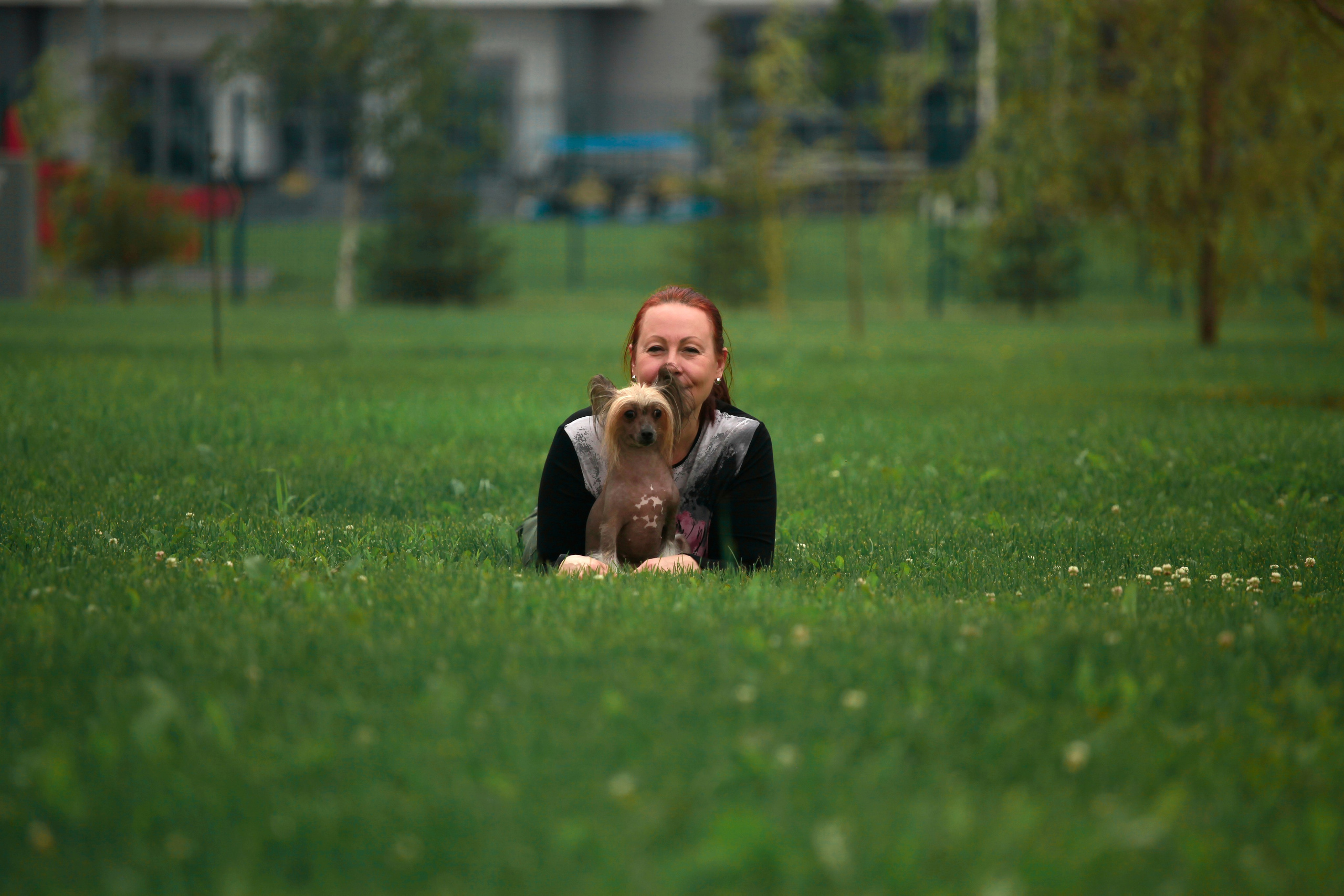 We took part in the VII International Military-Technical Forum “Army 2021” from August 22 to 28. Poale Ell Chinese Crested Dog Kennel: Buy a puppy from the kennel