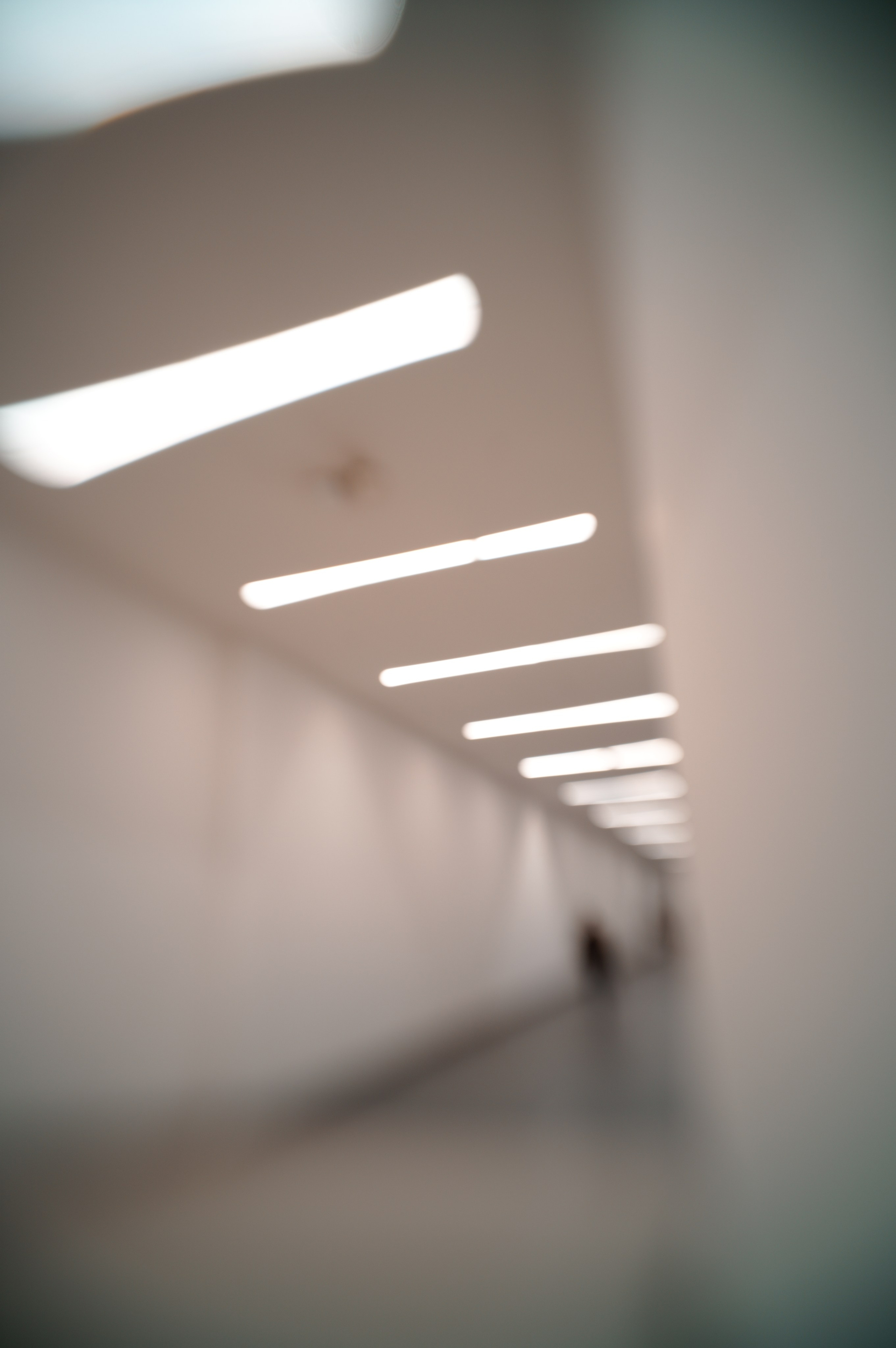 ART BEYOND REASON. International visual artist