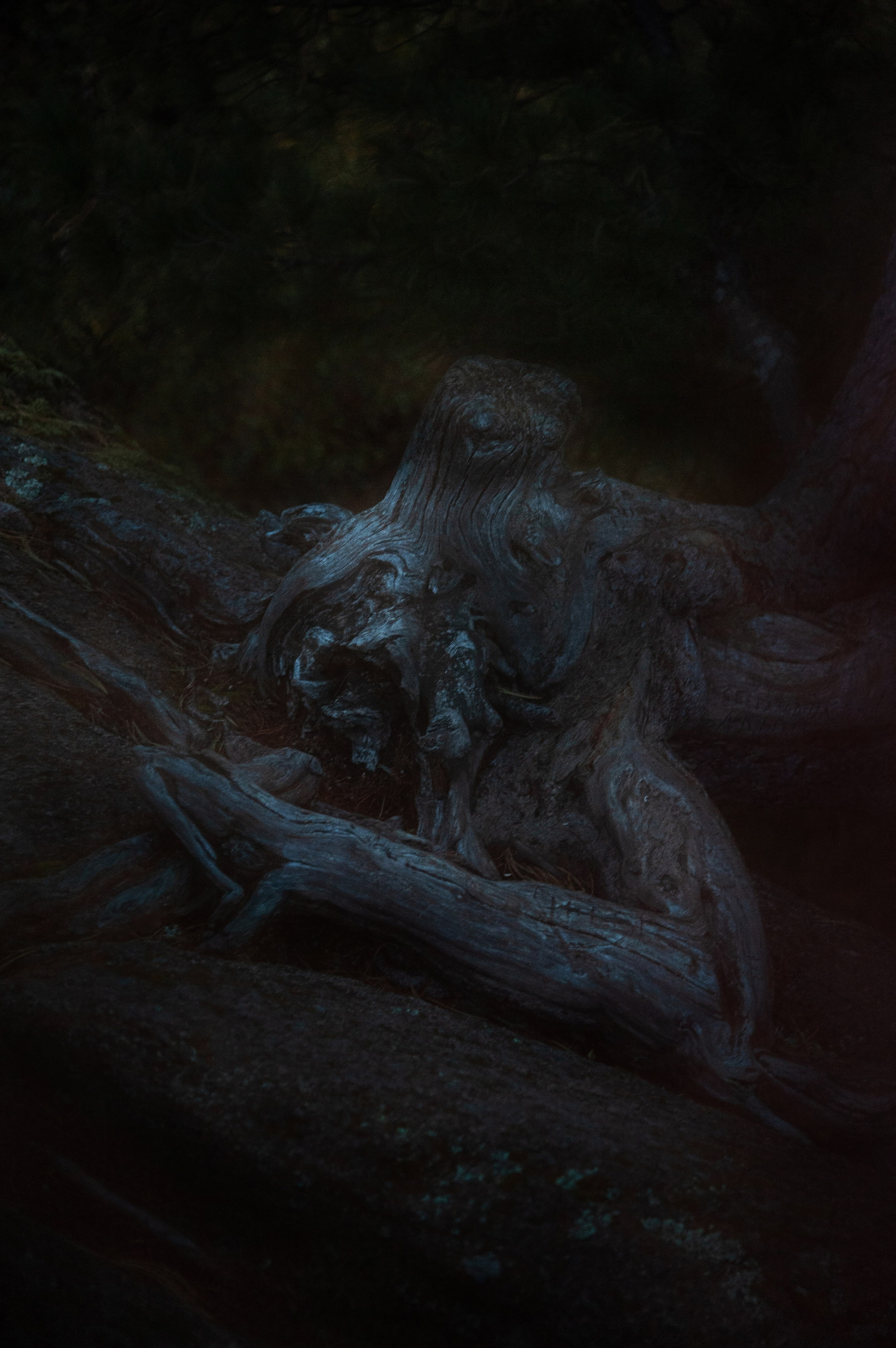 Работы, сделанные в Арт-резиденции «Красноярские столбы». Арт-фотография, терапевтическая фотография в Москве. Фотограф Анна Ермолова