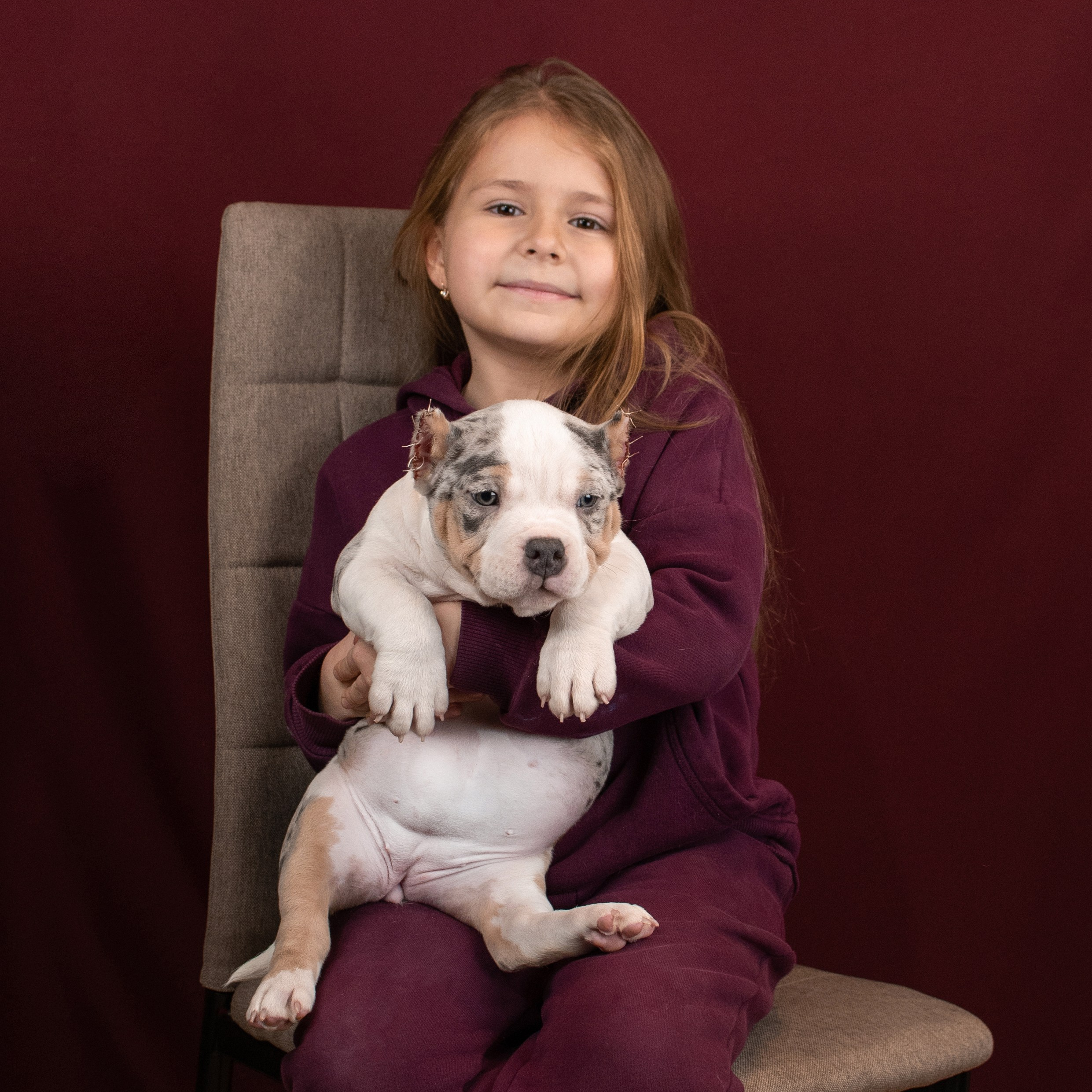 На фото ребенок и американский булли