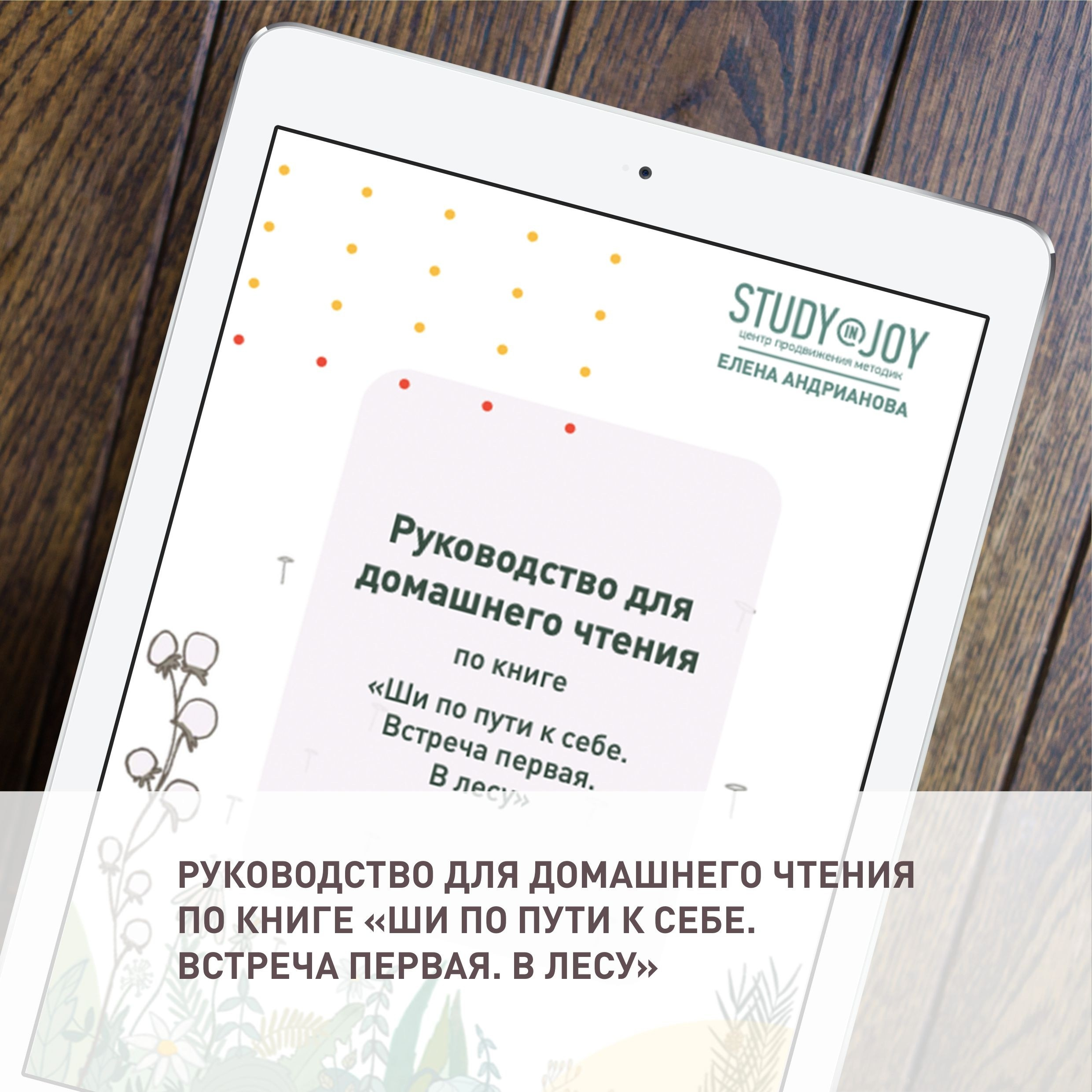 Книга «Ши по пути к себе» Елены Андриановой