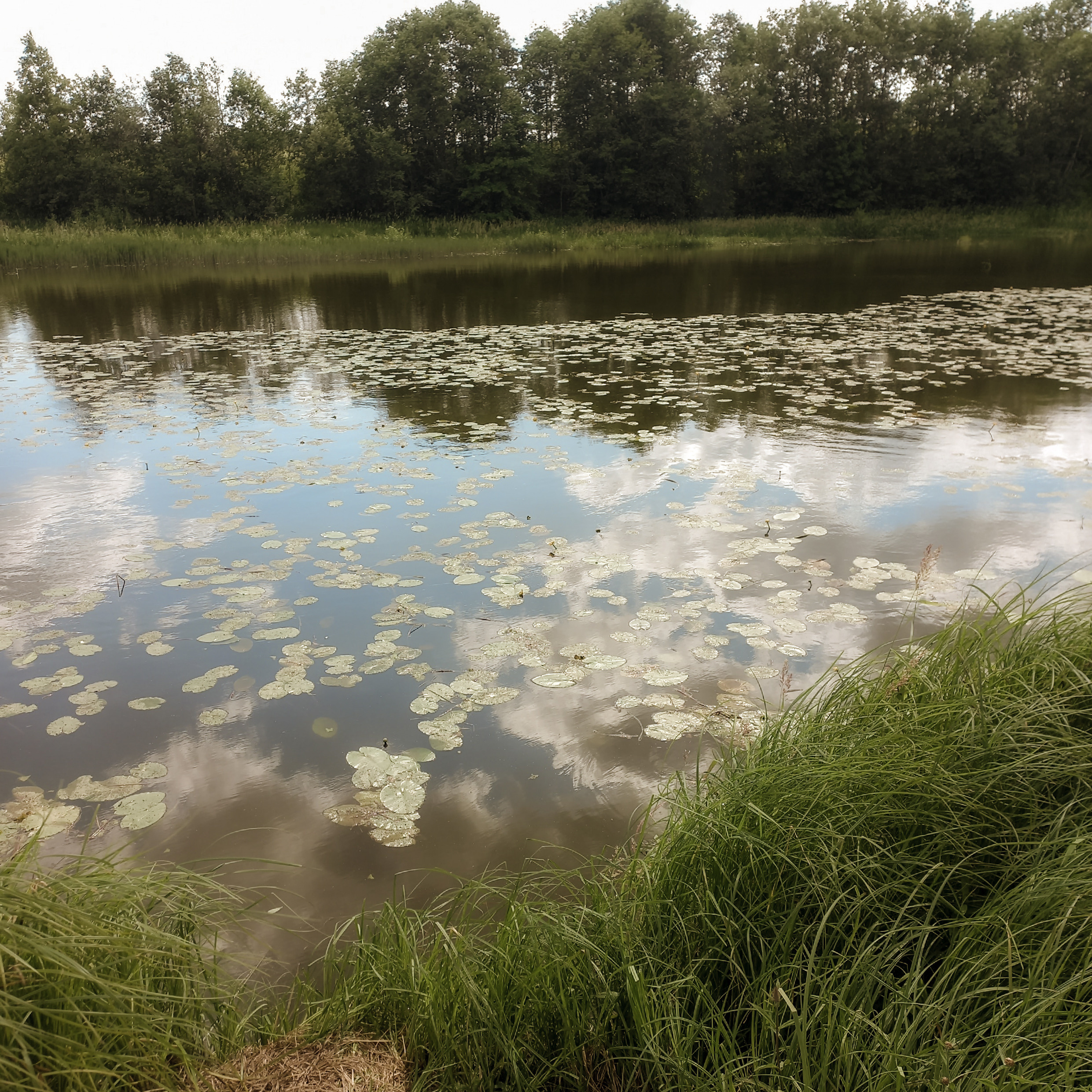 Ретрит в Шексне. Лилия Гоца. Гунфу Шаолинь. Арт-фотография. Ретриты