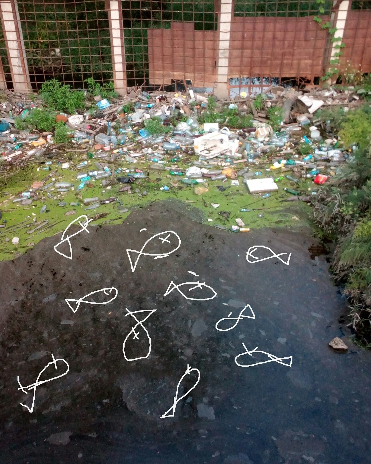 Дорисованнаяреальность. Художник Рыбак Николай