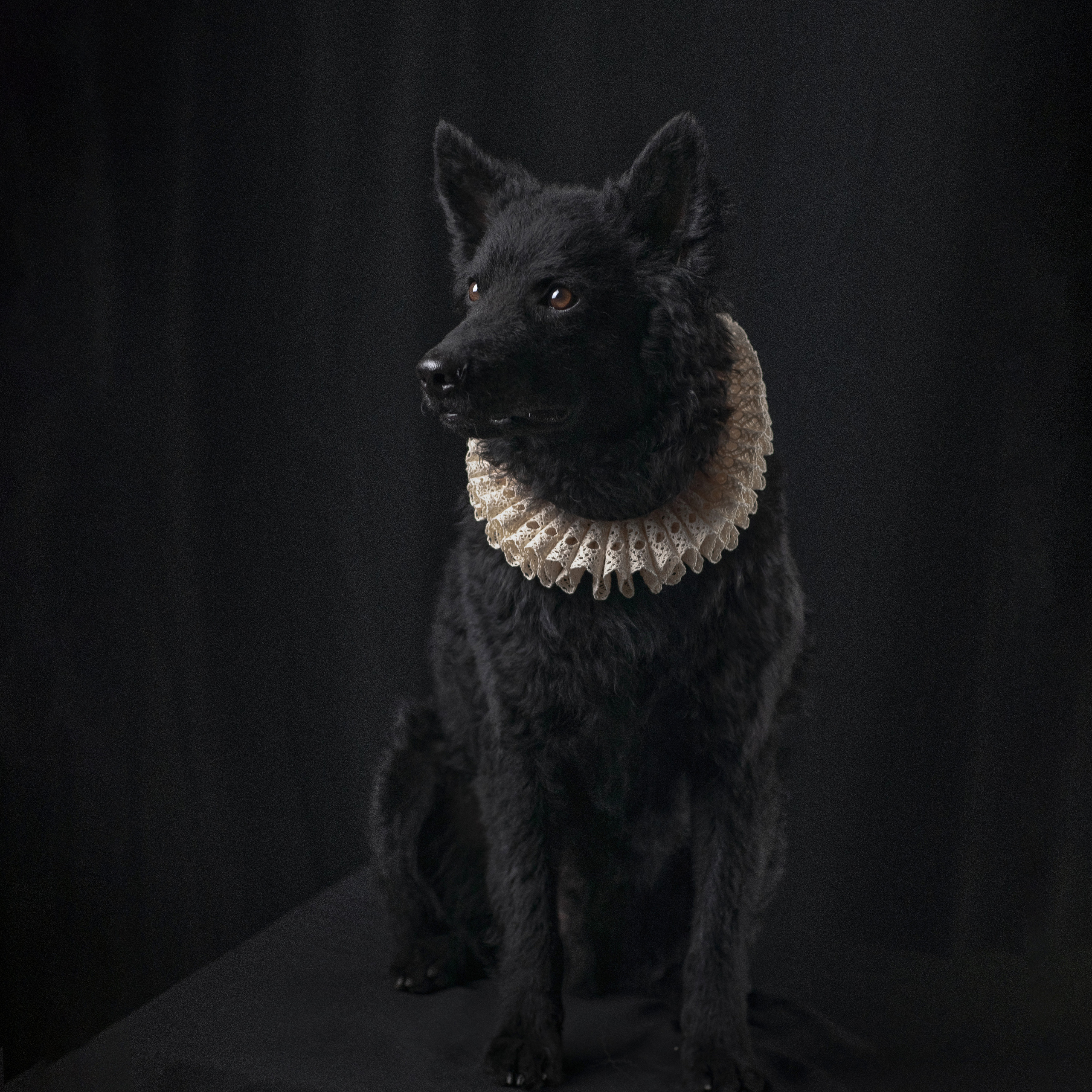 ФотоФест 2023. Fine art photographer Москва Калуга Тула Анастасии Ященко