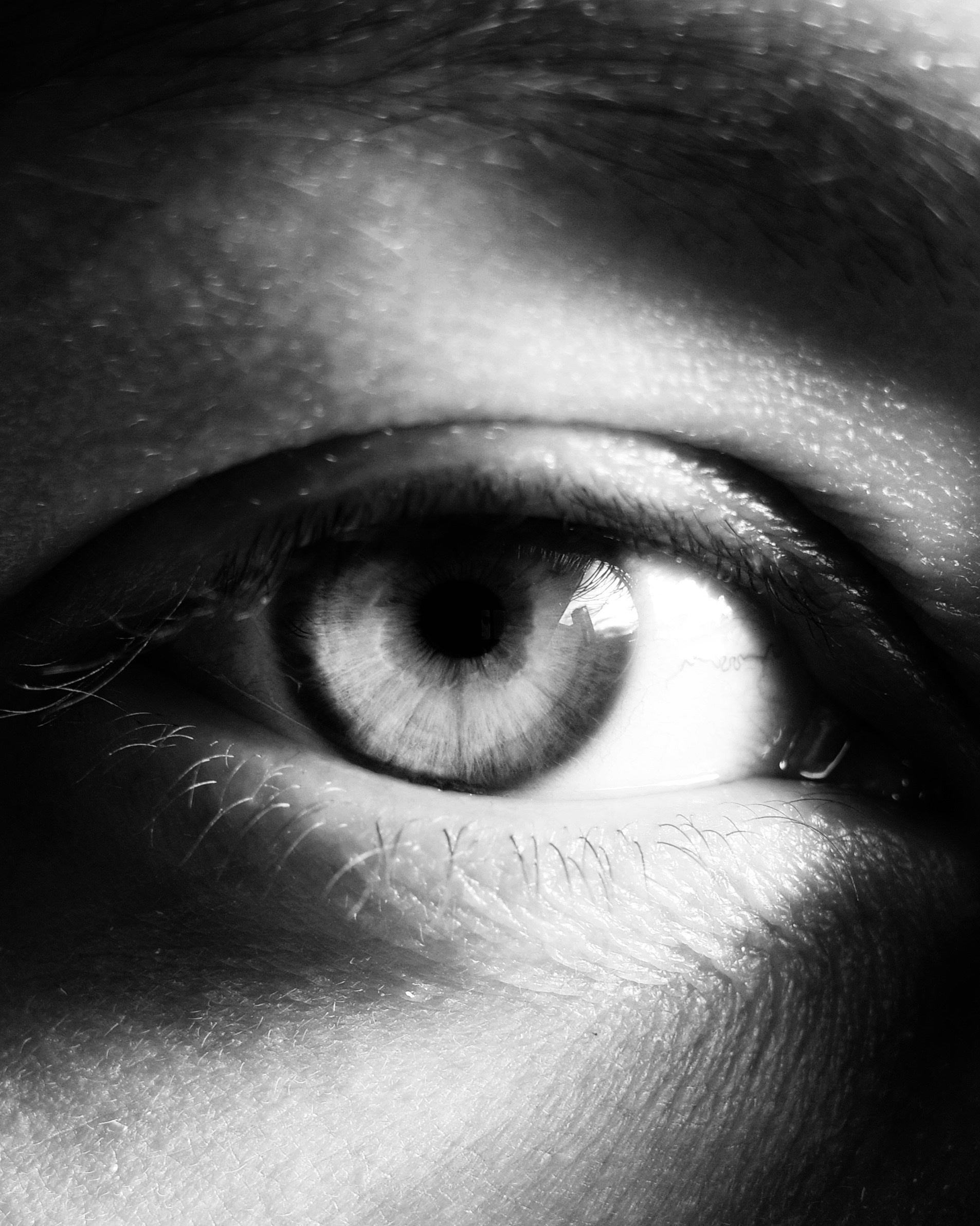 Круг жизни. Пылина Ирина — современная фотография