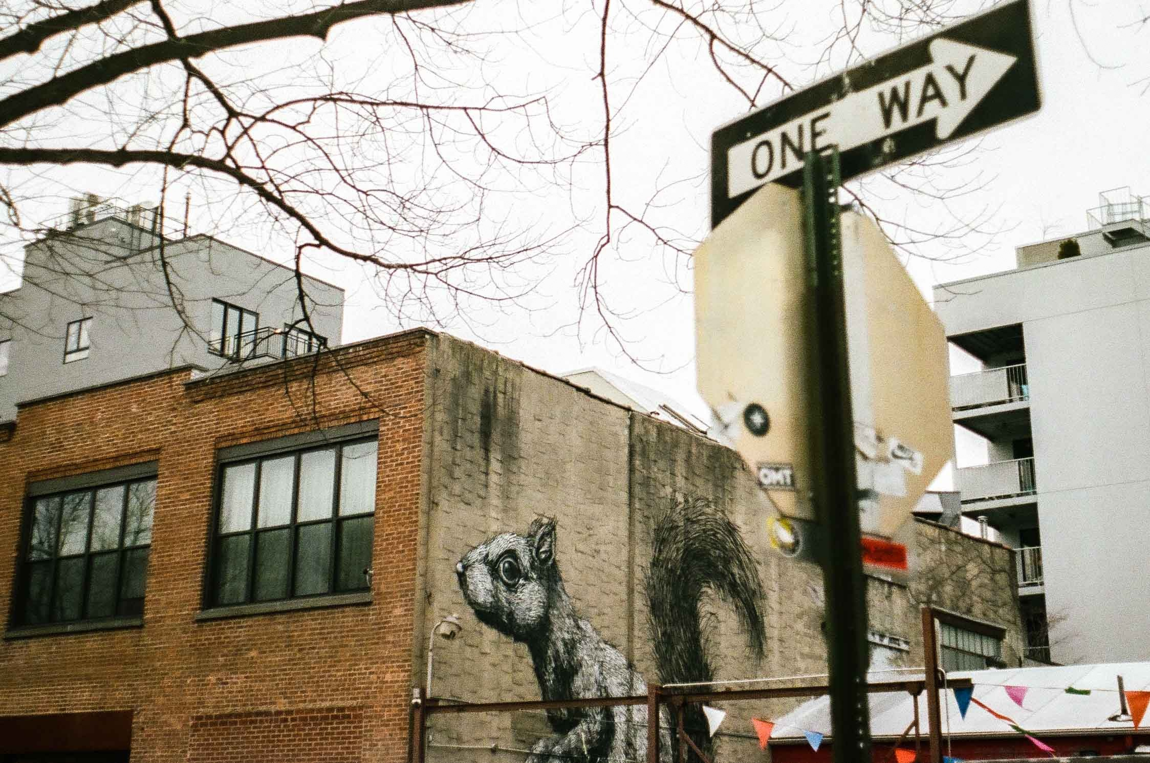 WILLIAMSBURG AS IT WAS. Anna Esquilin Art Photographer