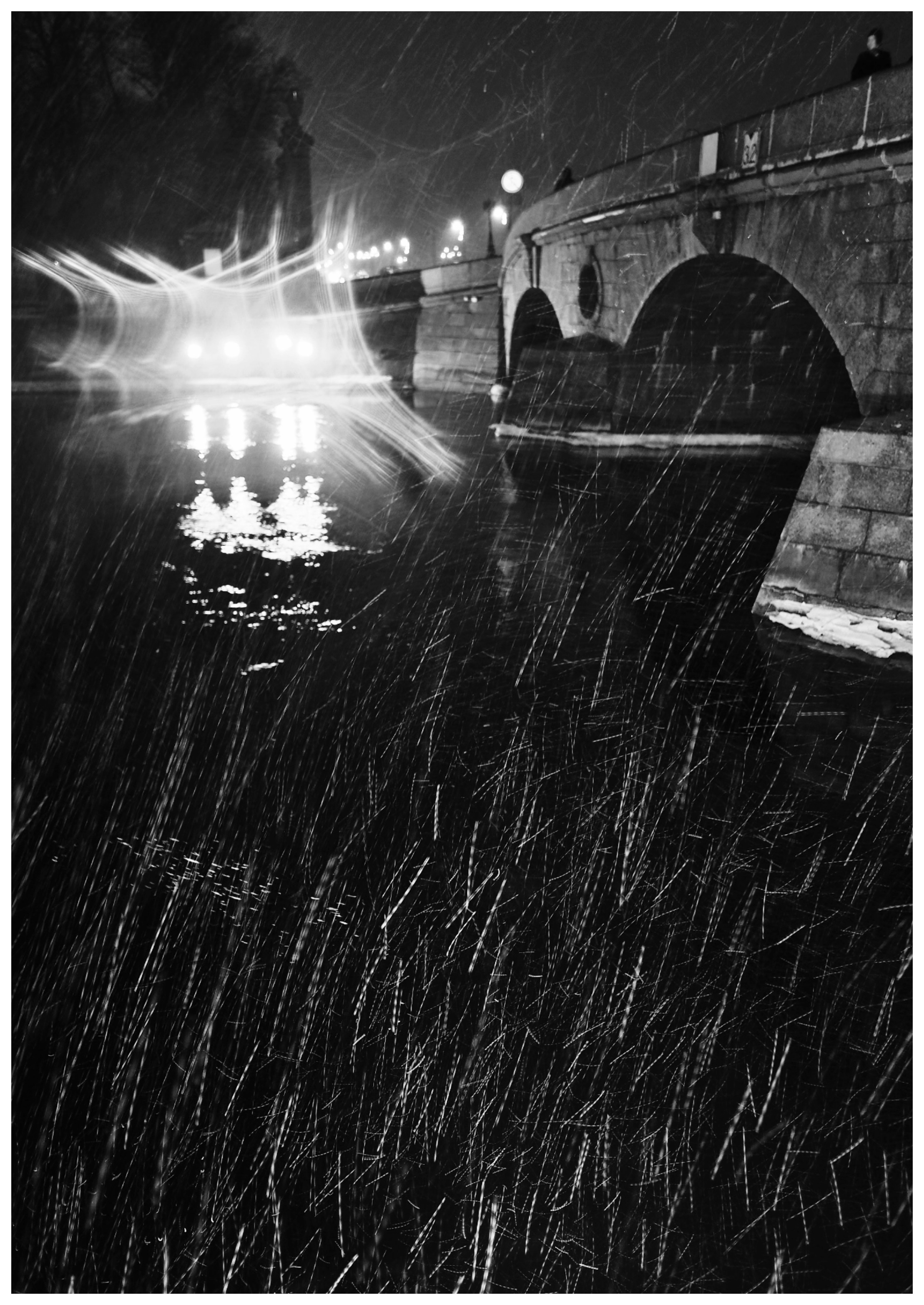 Черкесова Анна. Организация фотовыставок в Петербурге и Москве, MFamilia (МФамилия)