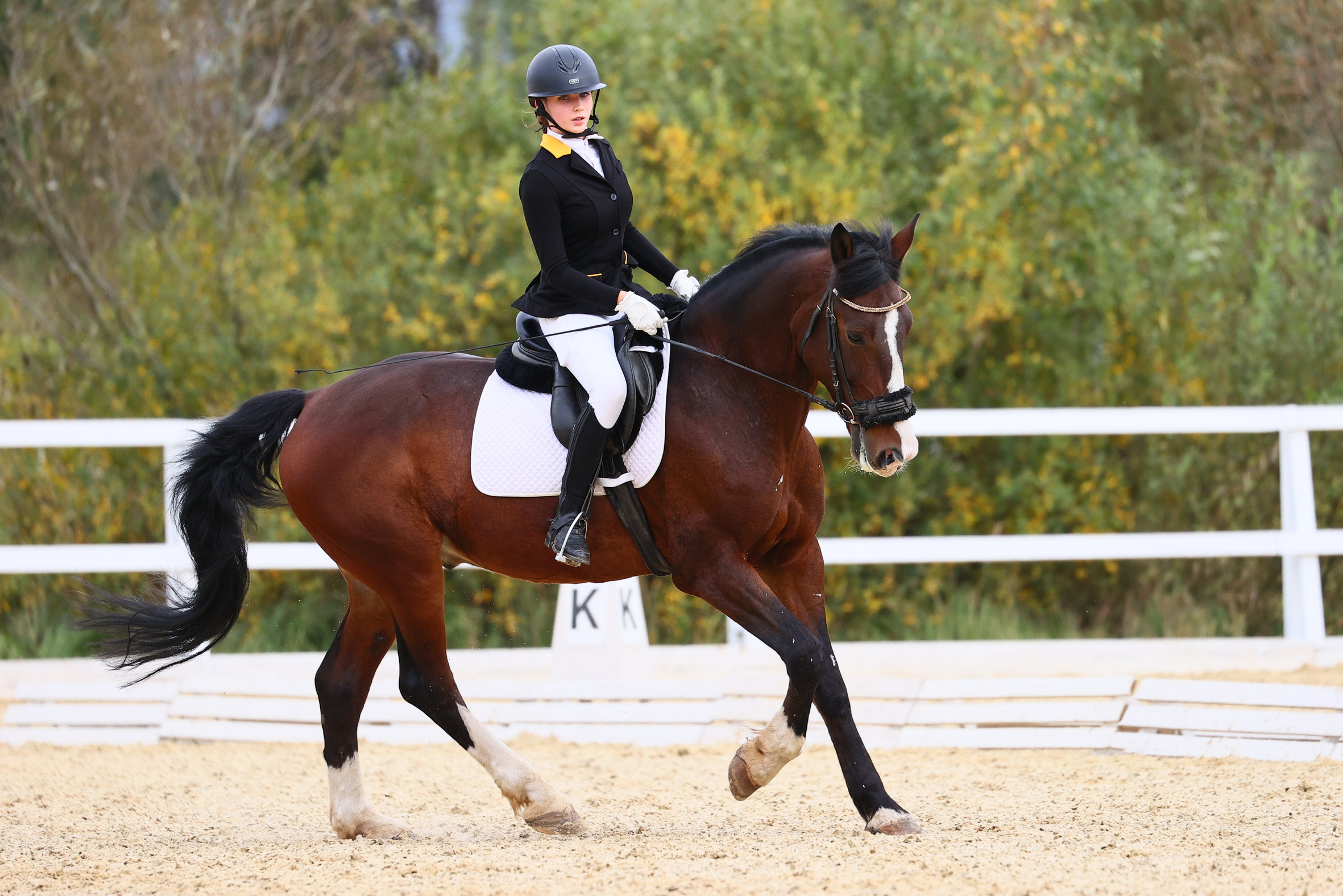 Купить фотографии с турниров. KatymartArt — Equine photography