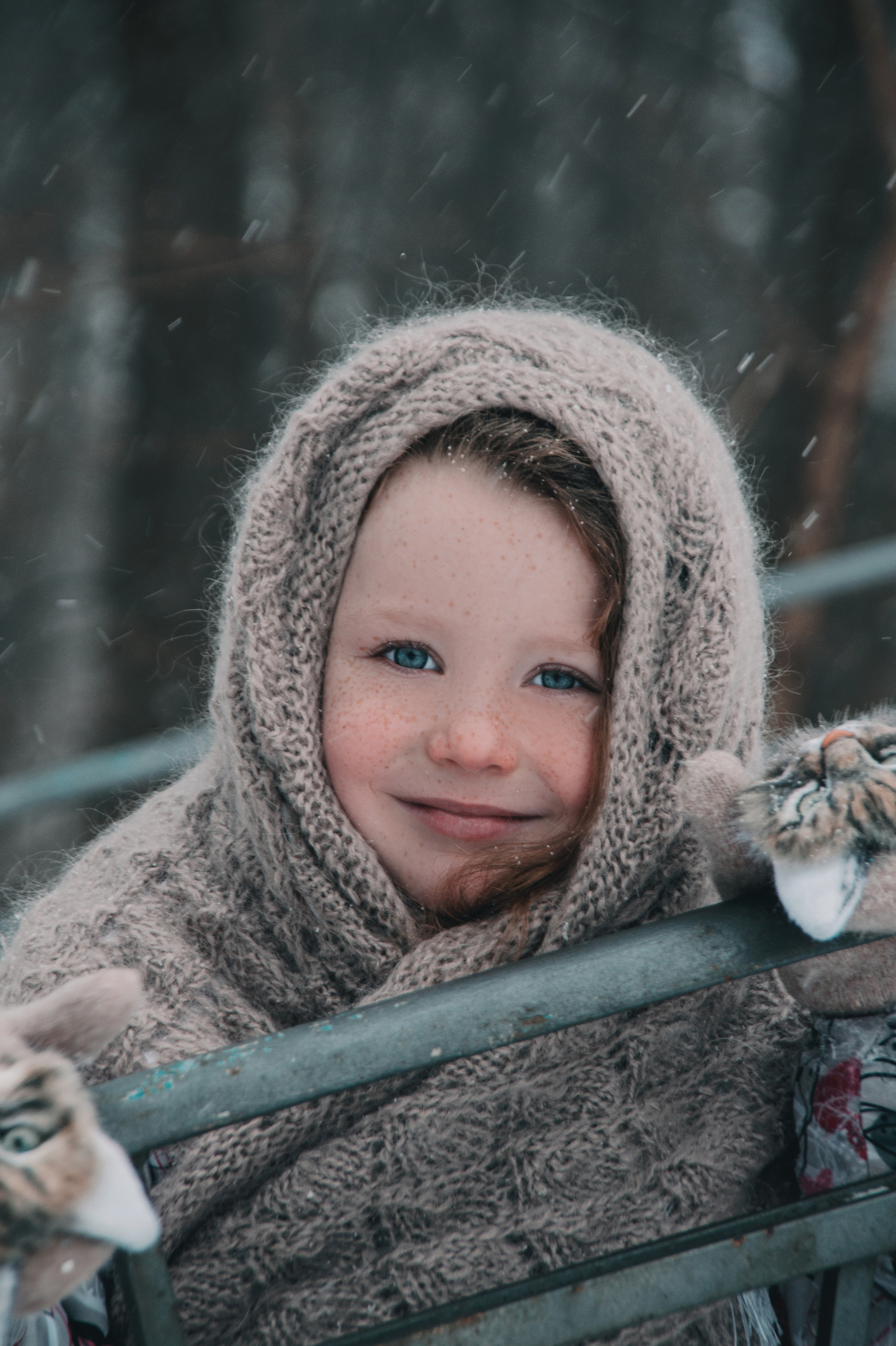 Цены. Детский и семейный фотограф в Москве