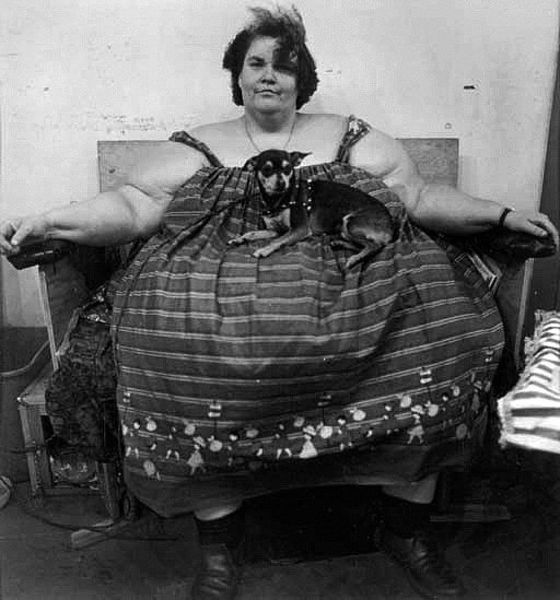 Фотограф для выпускного альбома Денис Зимин в городе Ростове-на-Дону. Выпускные альбомы, фотограф Денис Зимин в городе Ростове-на-Дону