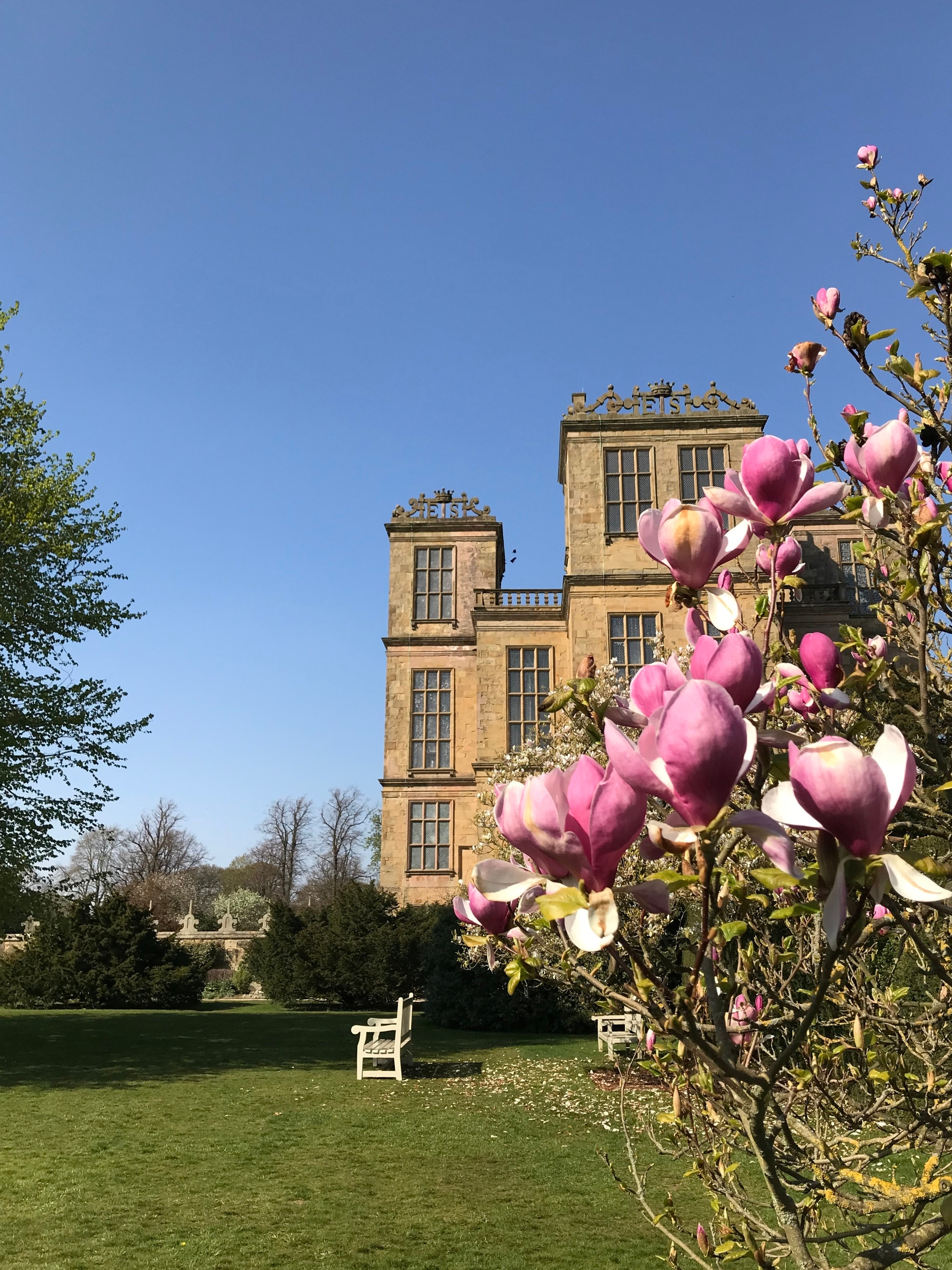 Интервью с Викторией Мусвик