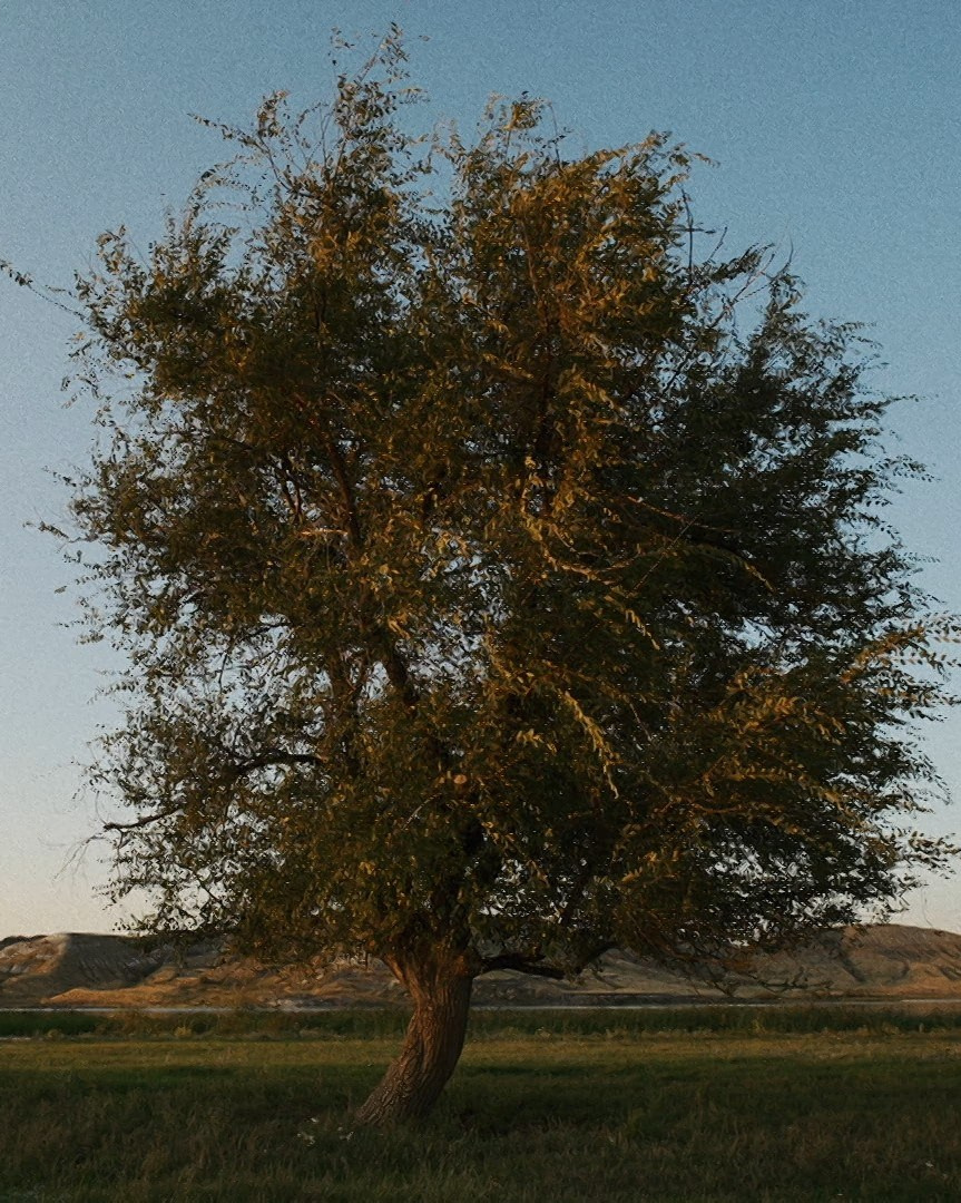 Прайс. Свадебный и семейный видеограф в Тольятти и Самаре Владимир Махнычев
