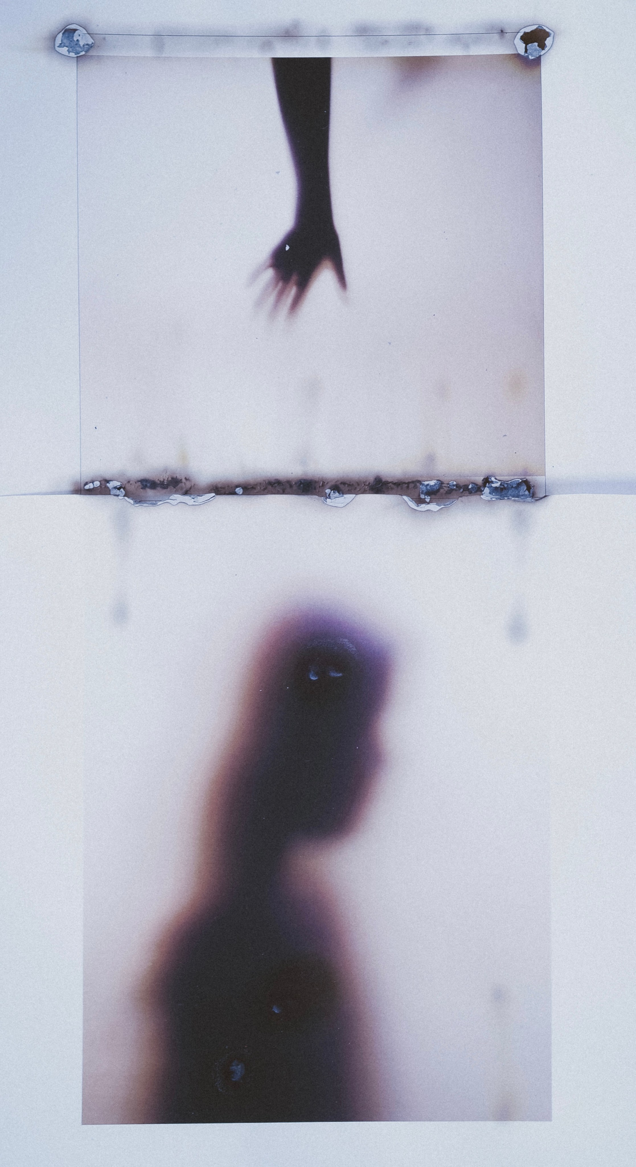 Афиша. Мари Журина фотограф, фотохудожник в Москве