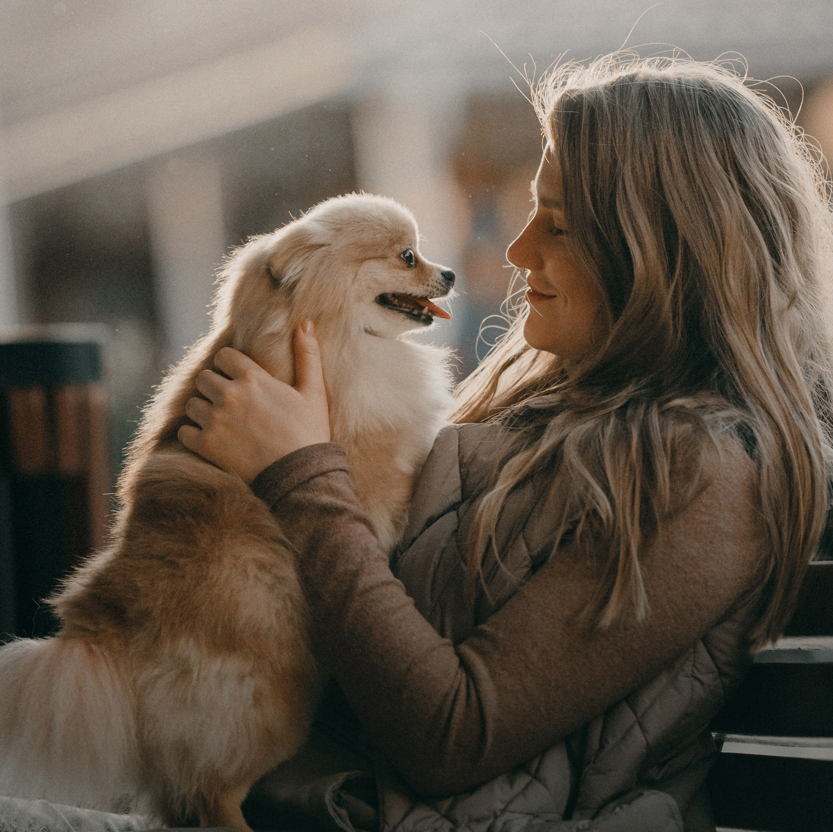 How it works. Photos of you and your pet