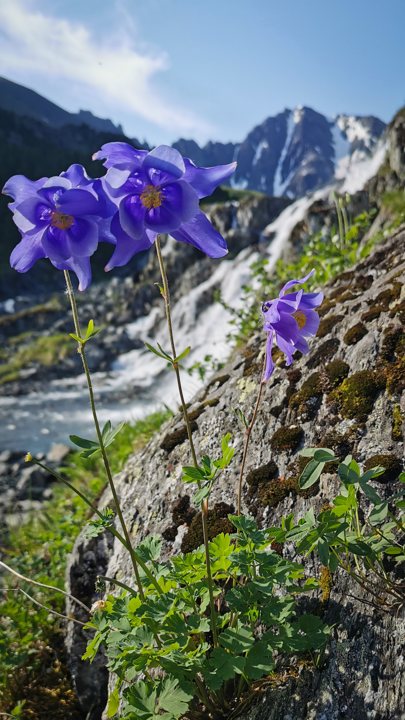 Ущелье водопадов. Профессиональный пейзажный фотограф Алёна Рубан