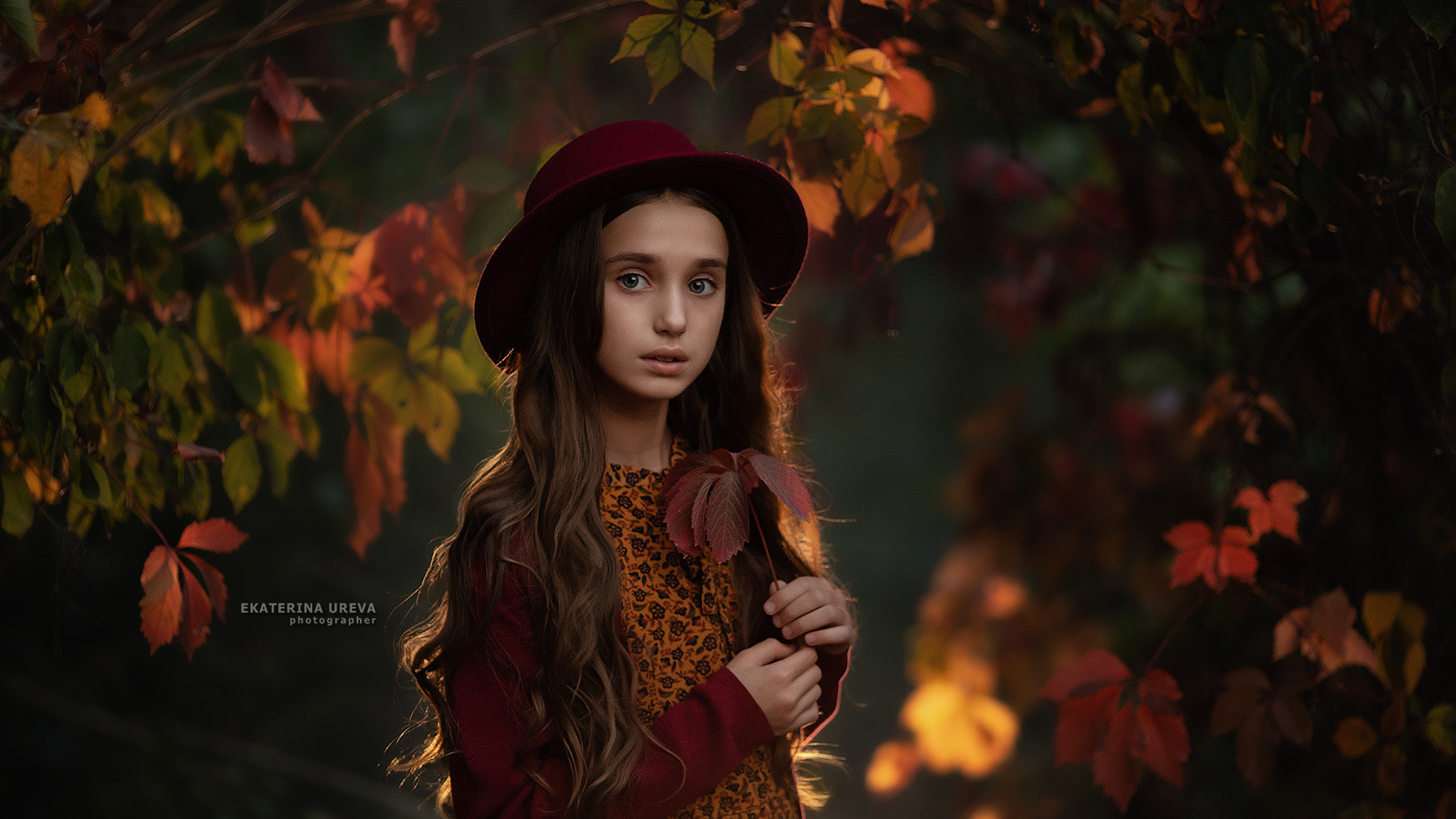 Стоимость услуг. Детский и семейный фотограф Екатерина Юрьева в Москве