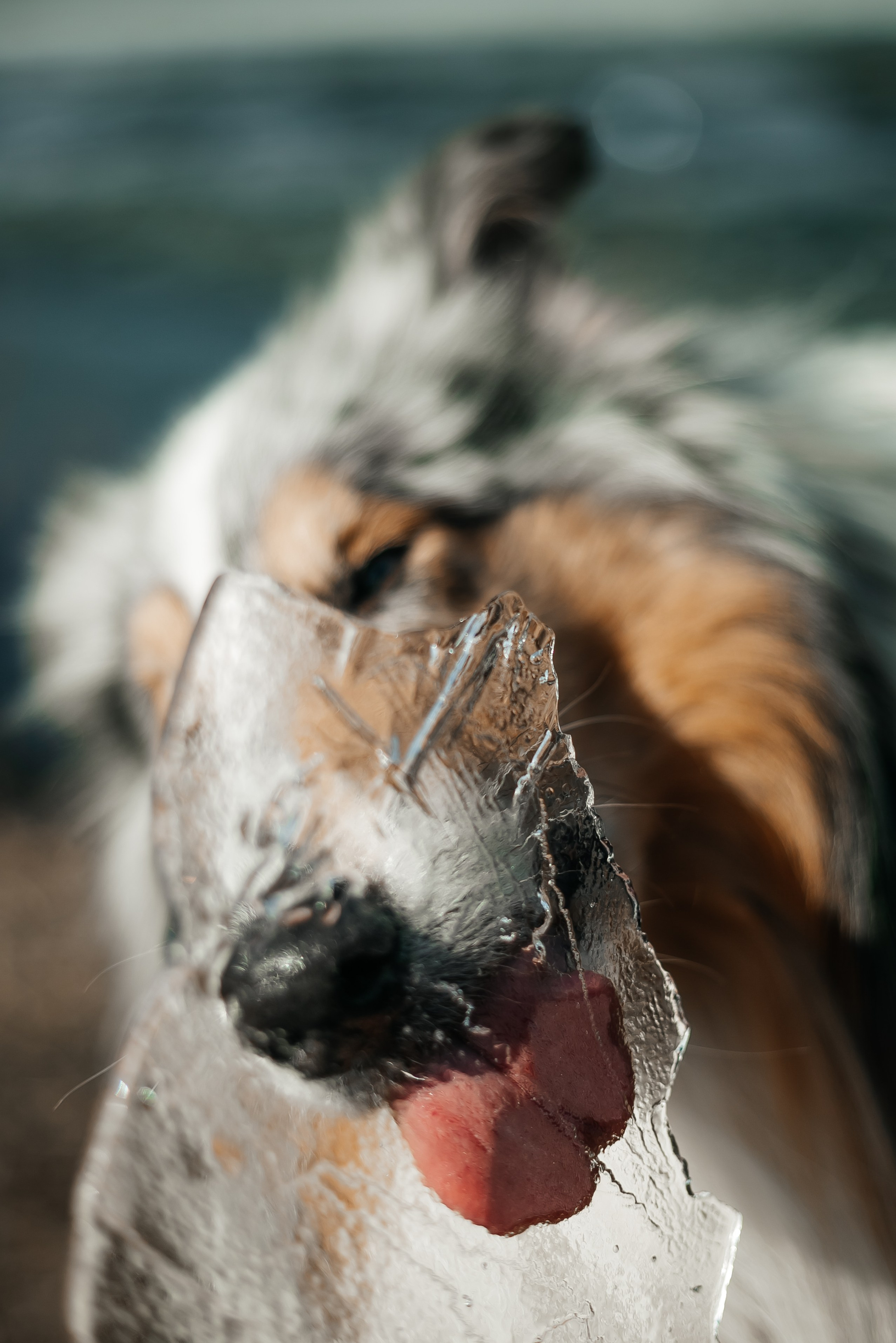 Портфолио. Фотограф Краснодар Марго Хелбен