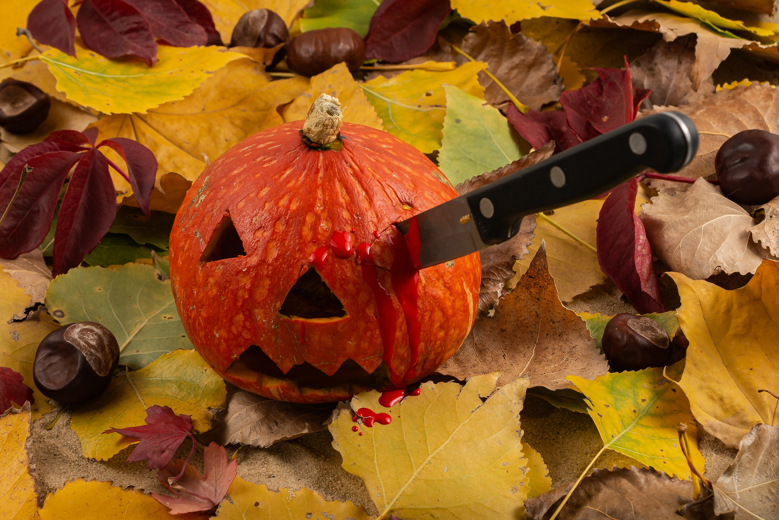 Портфолио. Предметный фотограф в Воронеже Антон Караваев