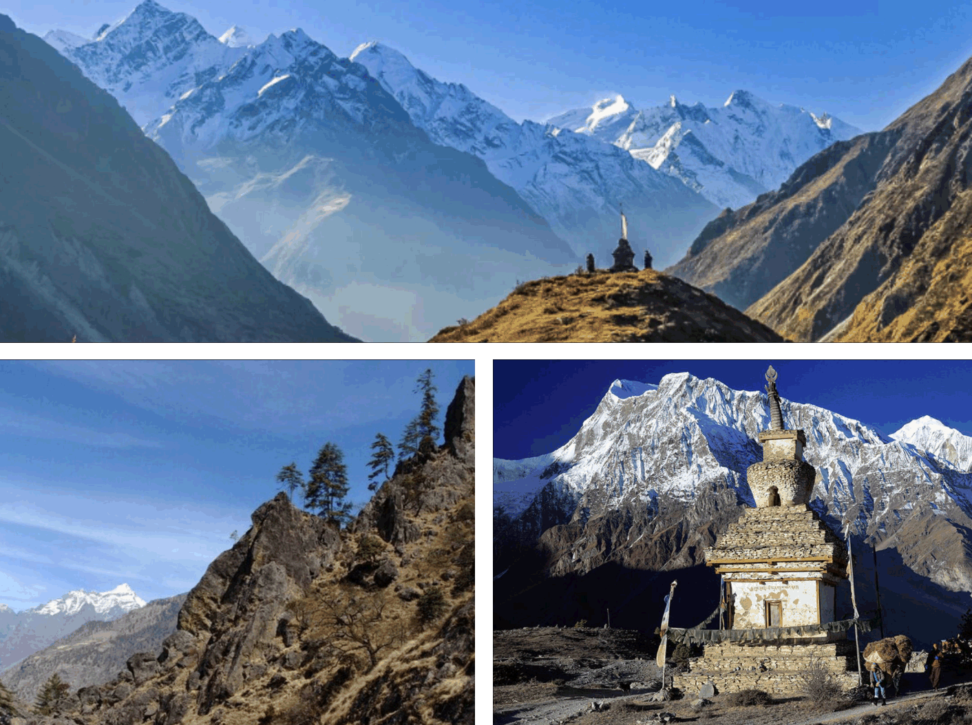 Манаслу_2025. Клуб путешествий HimalTrex Горные туры в Гималаи Непал