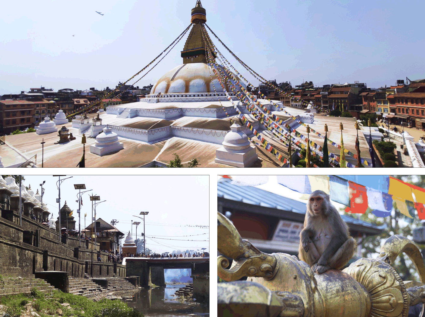 Манаслу_2025. Клуб путешествий HimalTrex Горные туры в Гималаи Непал