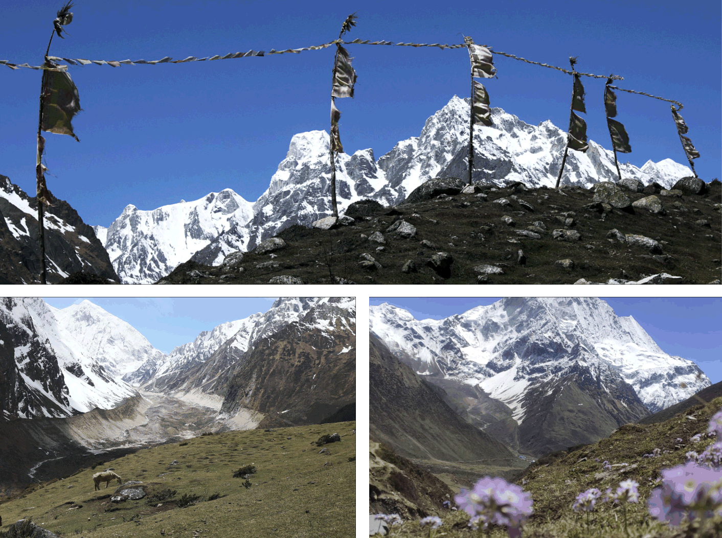 Манаслу_2025. Клуб путешествий HimalTrex Горные туры в Гималаи Непал