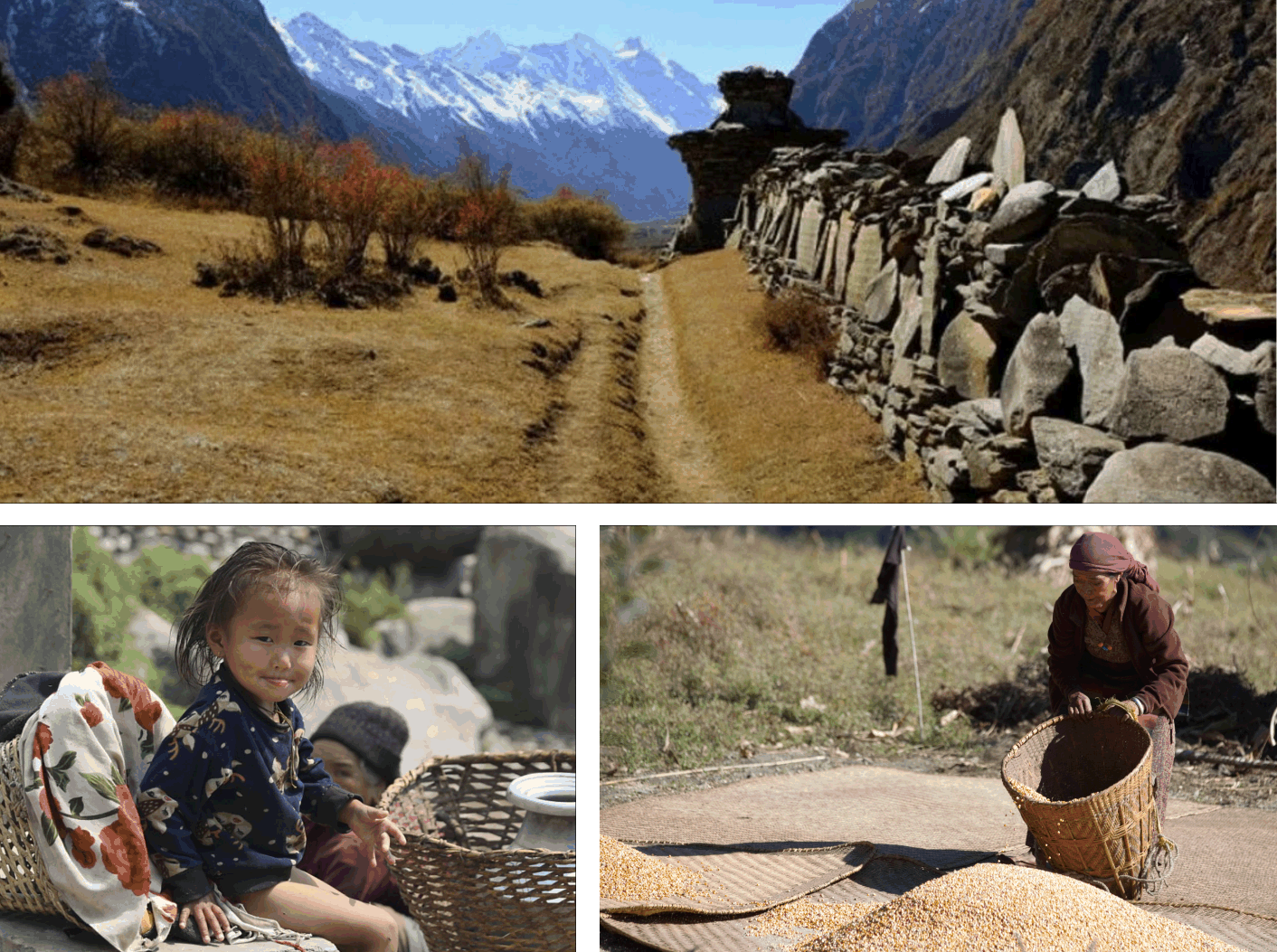 Манаслу_2025. Клуб путешествий HimalTrex Горные туры в Гималаи Непал