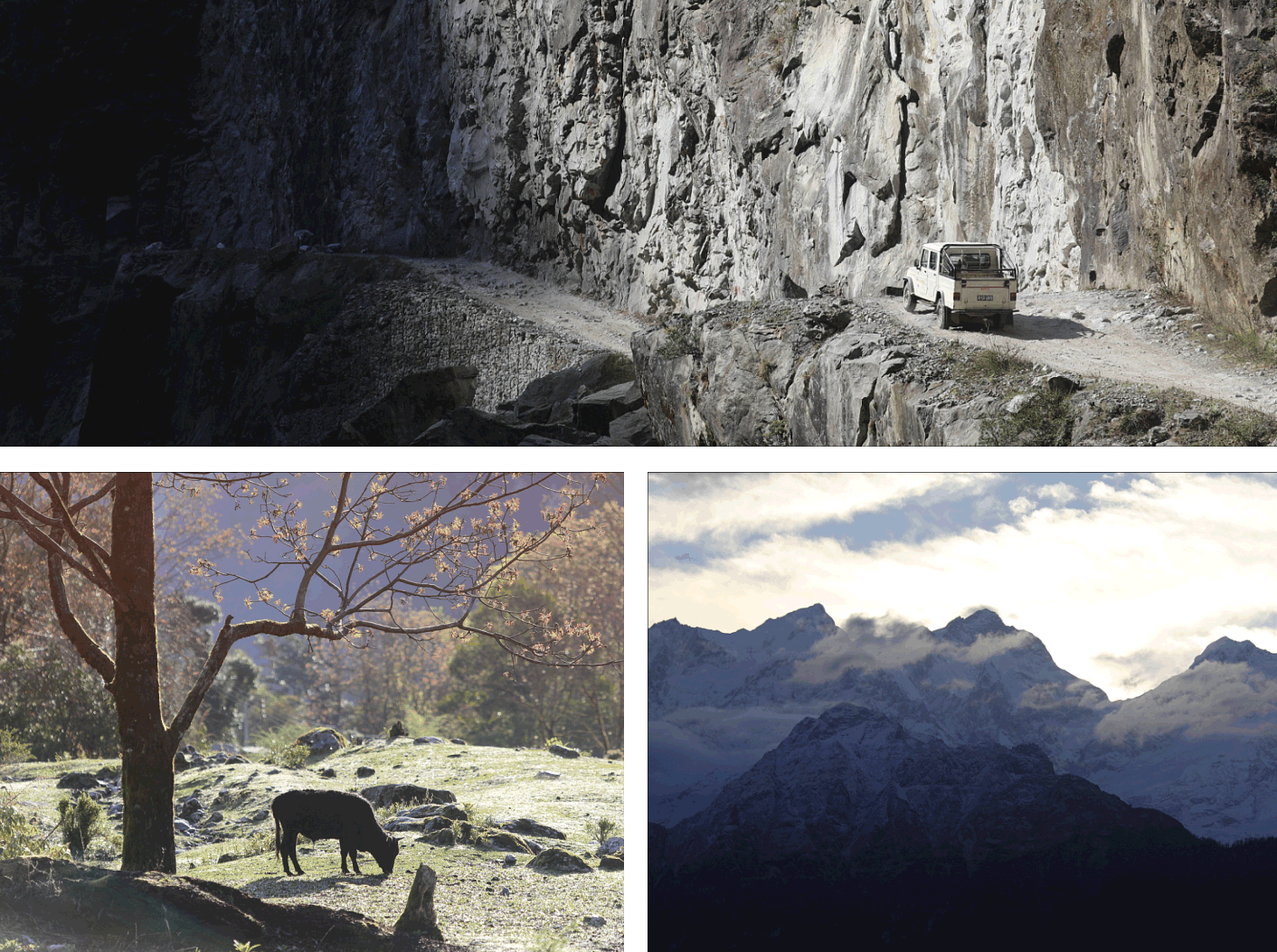 Аннапурна_2025. Клуб путешествий HimalTrex Горные туры в Гималаи Непал