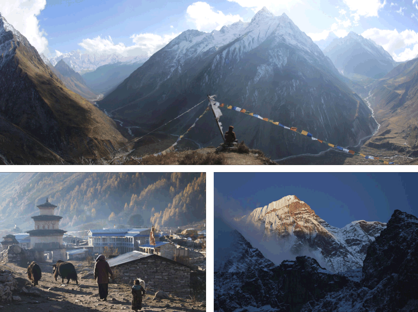 Манаслу_2025. Клуб путешествий HimalTrex Горные туры в Гималаи Непал