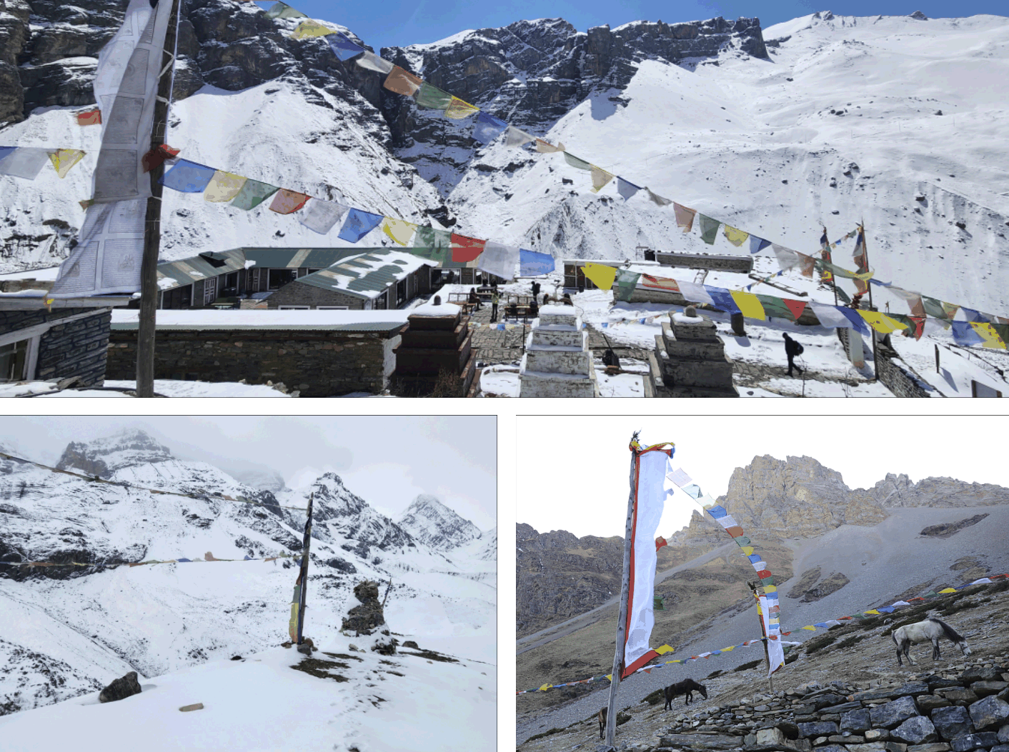 Аннапурна_2025. Клуб путешествий HimalTrex Горные туры в Гималаи Непал