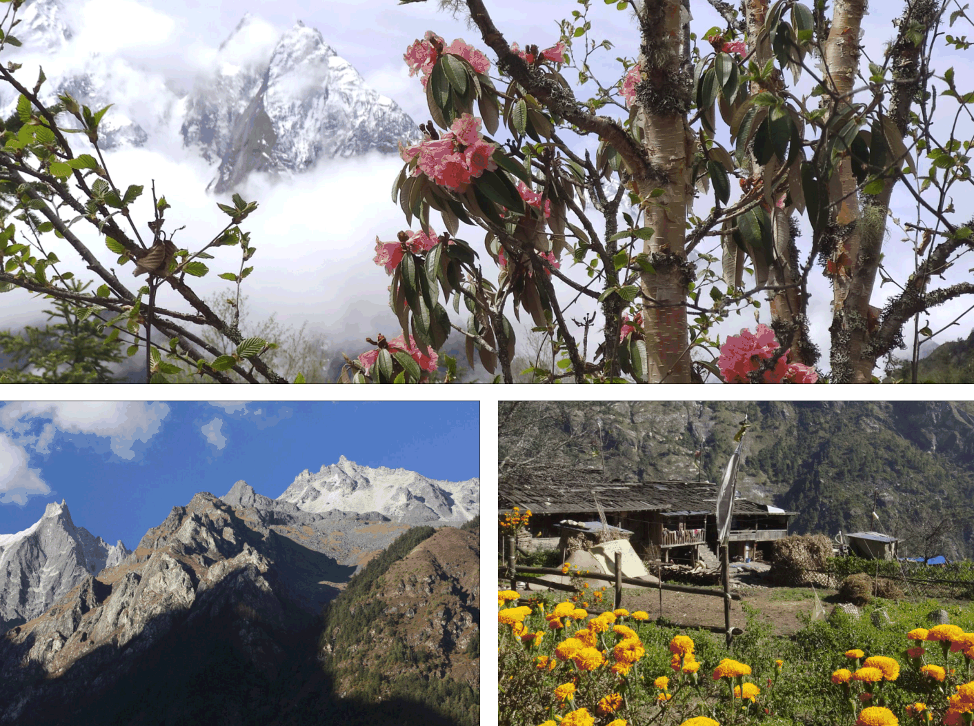 Манаслу_2025. Клуб путешествий HimalTrex Горные туры в Гималаи Непал