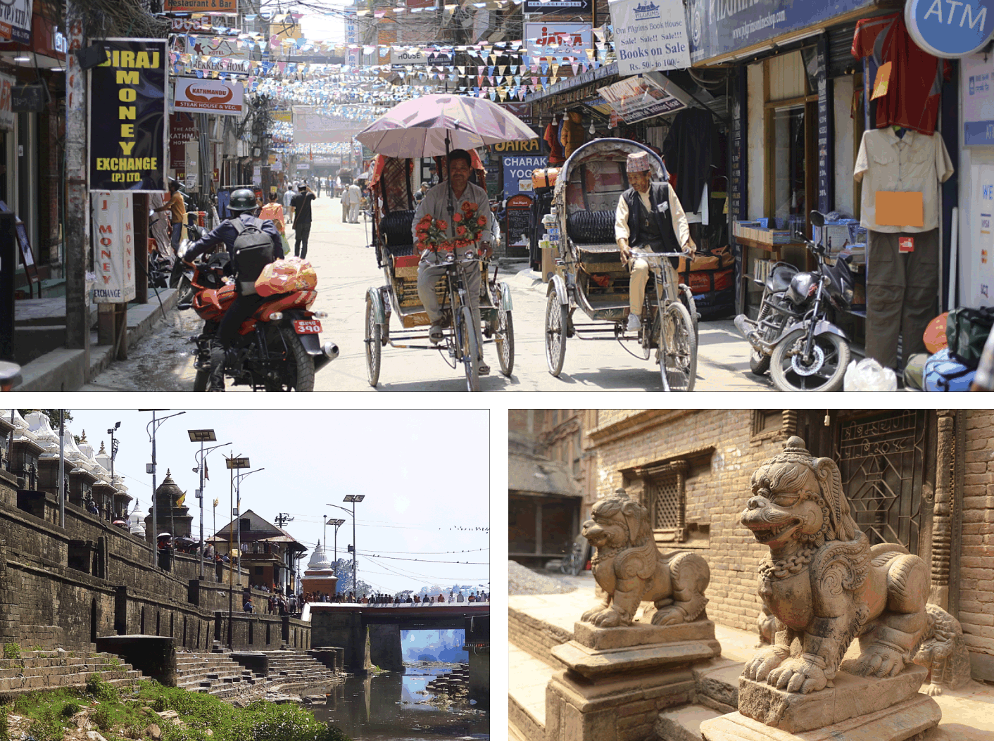 Аннапурна_2025. Клуб путешествий HimalTrex Горные туры в Гималаи Непал