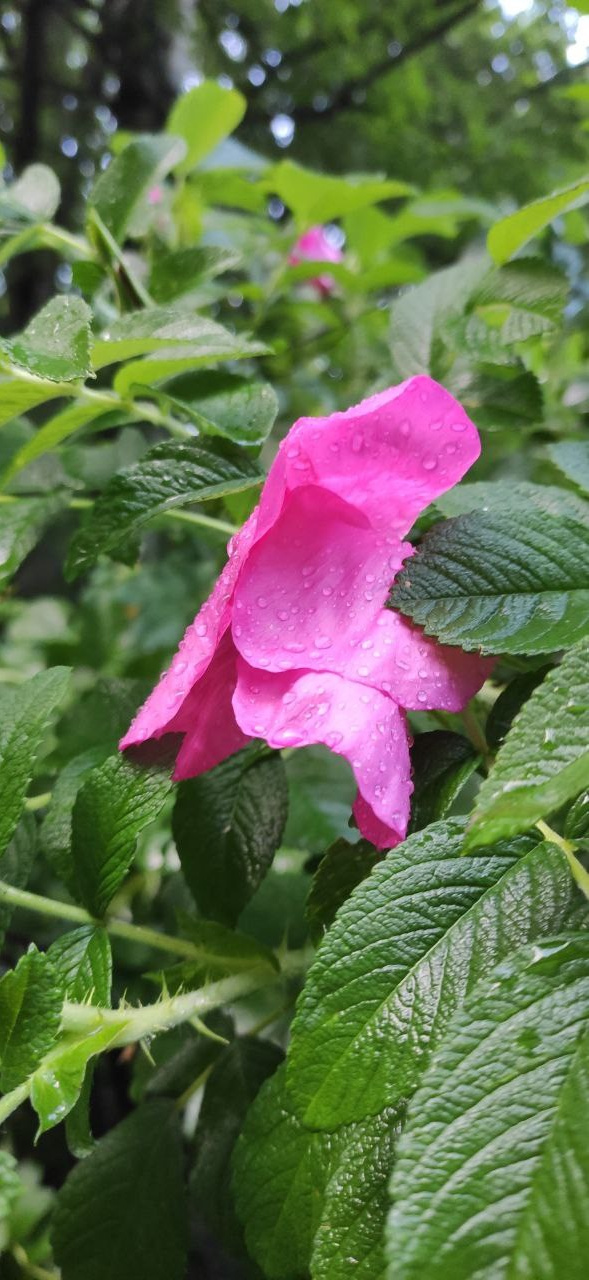 КУРС В КАЙФ. Фотограф Александра Степанова
