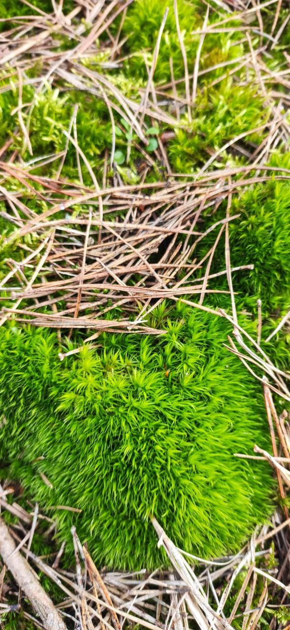 КУРС В КАЙФ. Фотограф Александра Степанова