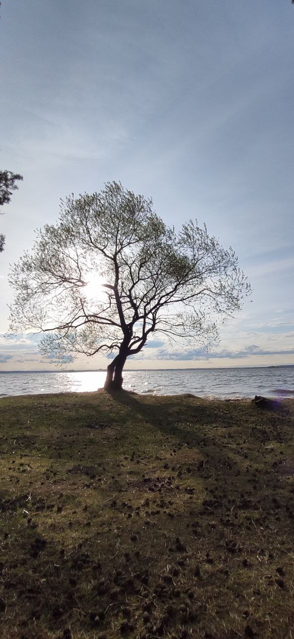 КУРС В КАЙФ. Фотограф Александра Степанова