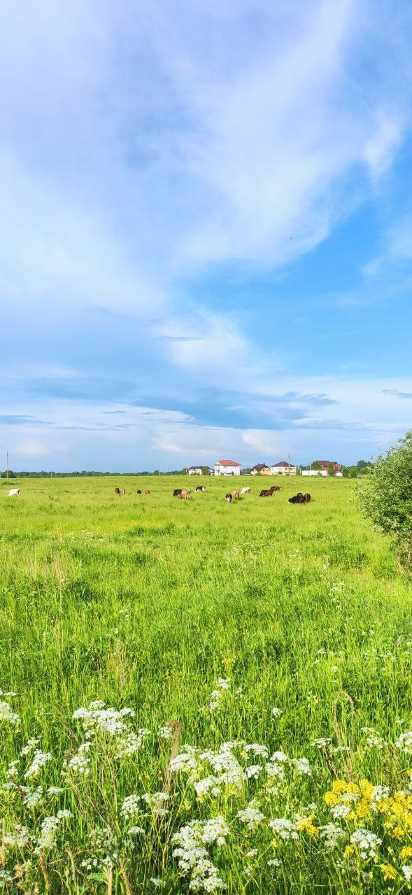 КУРС В КАЙФ. Фотограф Александра Степанова