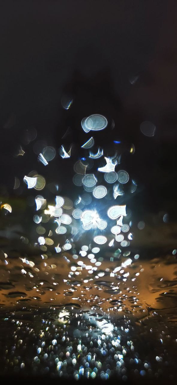 КУРС В КАЙФ. Фотограф Александра Степанова