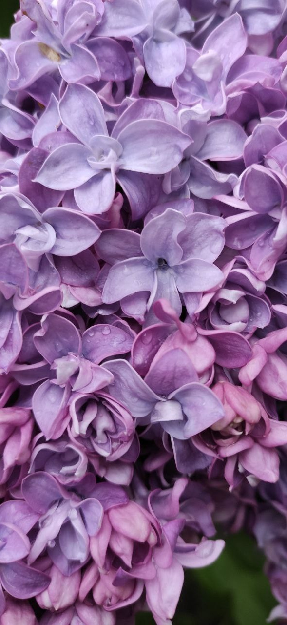 КУРС В КАЙФ. Фотограф Александра Степанова