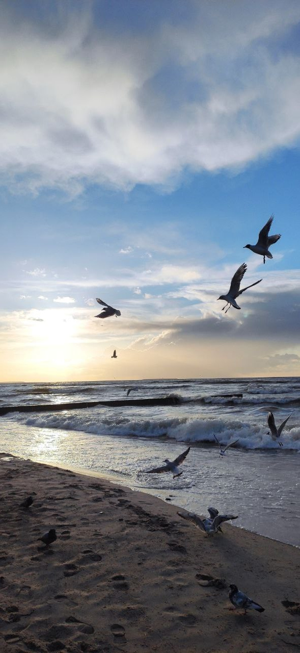 КУРС В КАЙФ. Фотограф Александра Степанова