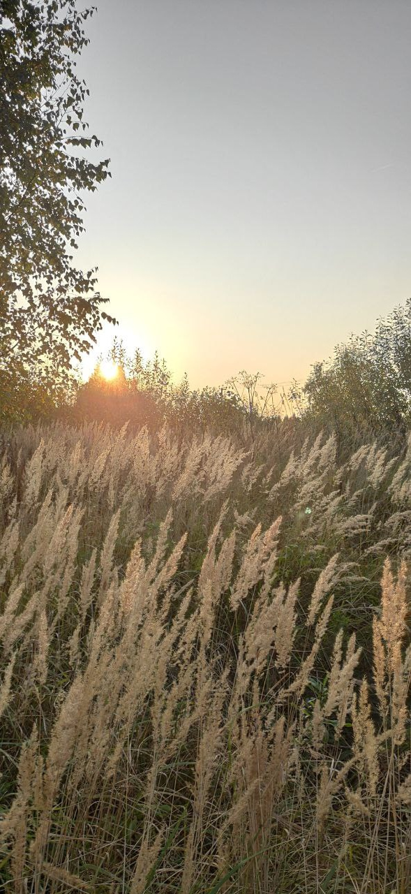 КУРС В КАЙФ. Фотограф Александра Степанова
