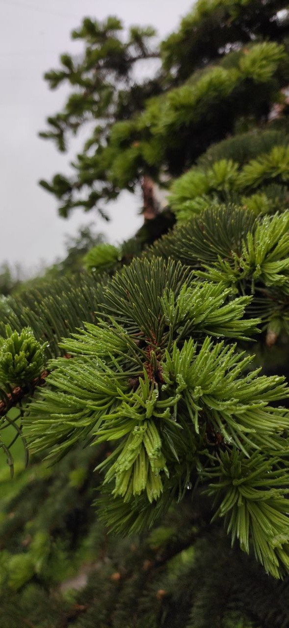 КУРС В КАЙФ. Фотограф Александра Степанова