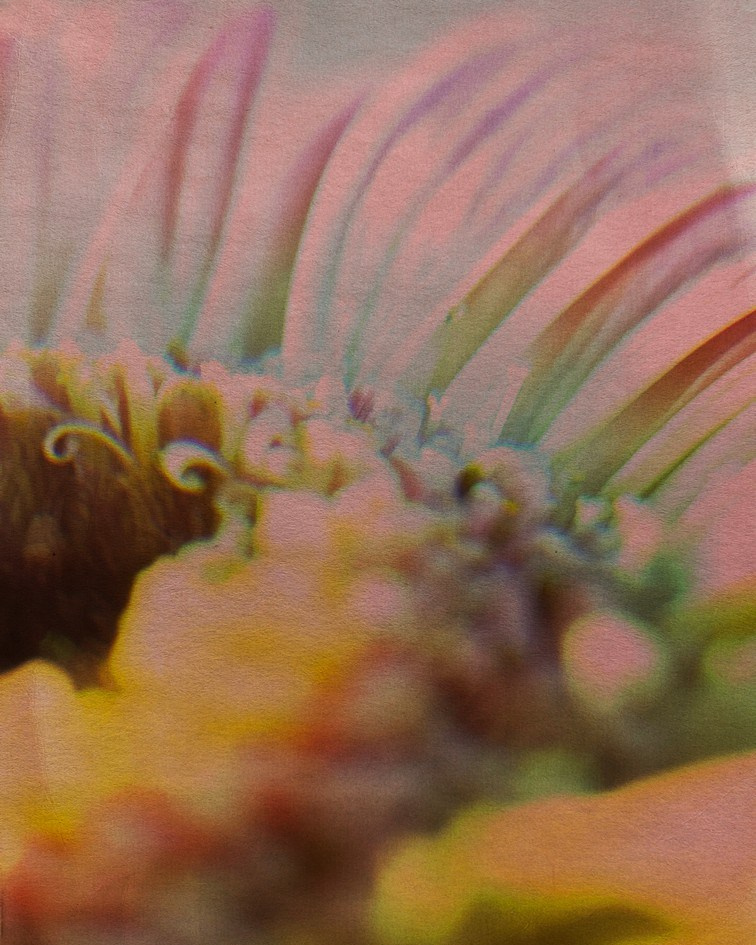 Пробуждение. Visual artist